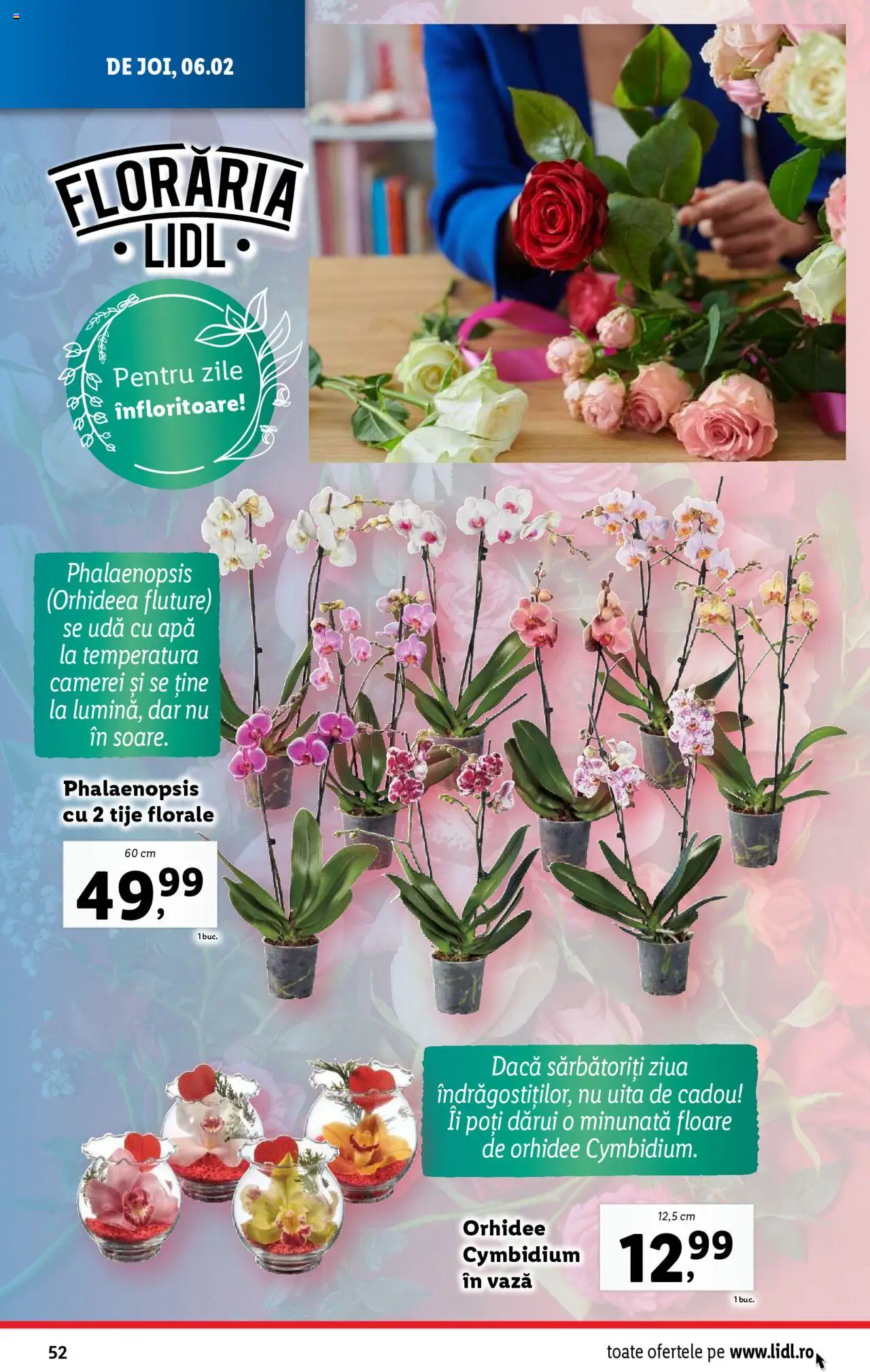 lidl - Catalog LIDL 03.02.2025 - 09.02.2025 - page: 52