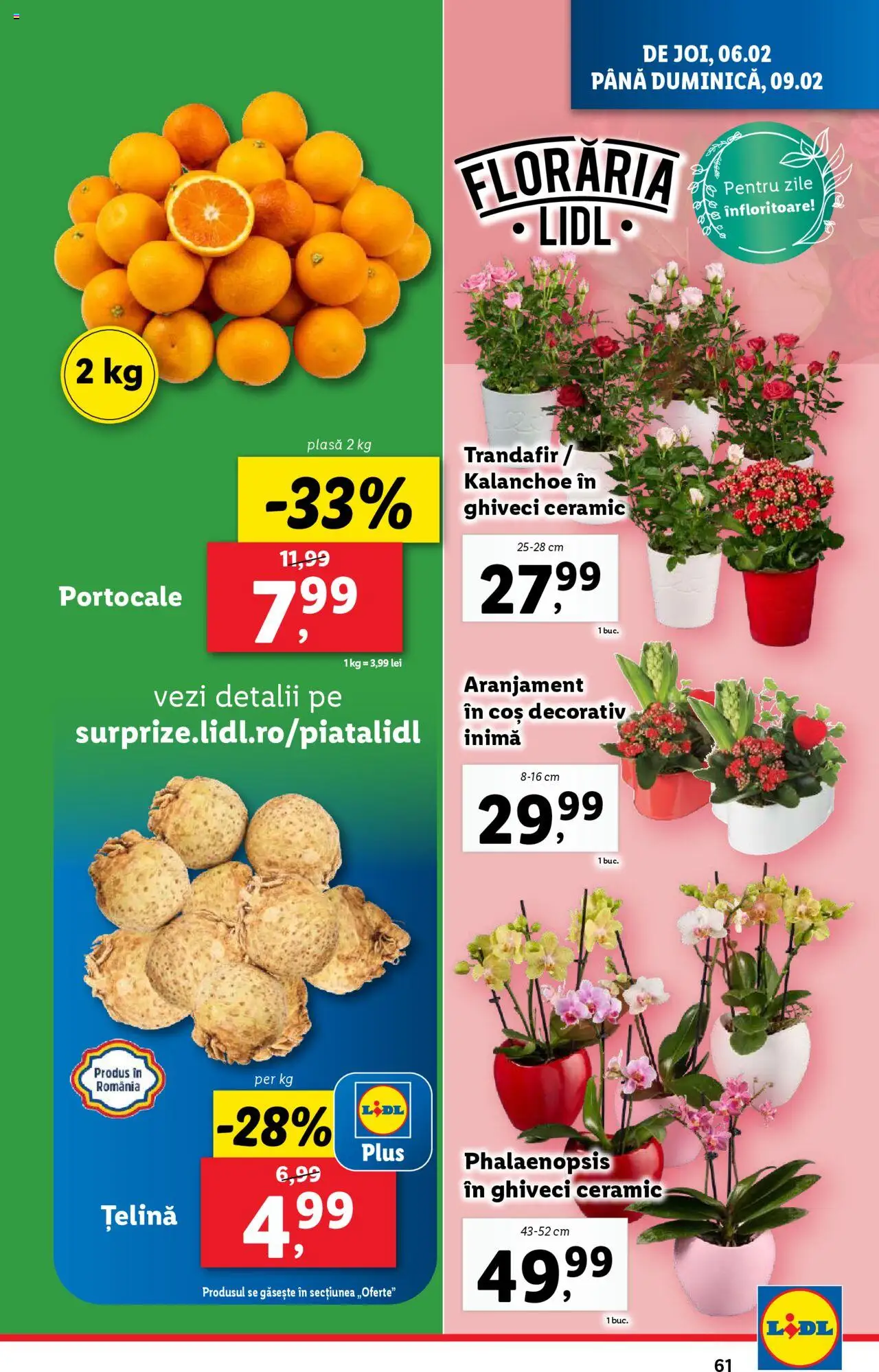 lidl - Catalog LIDL 03.02.2025 - 09.02.2025 - page: 61