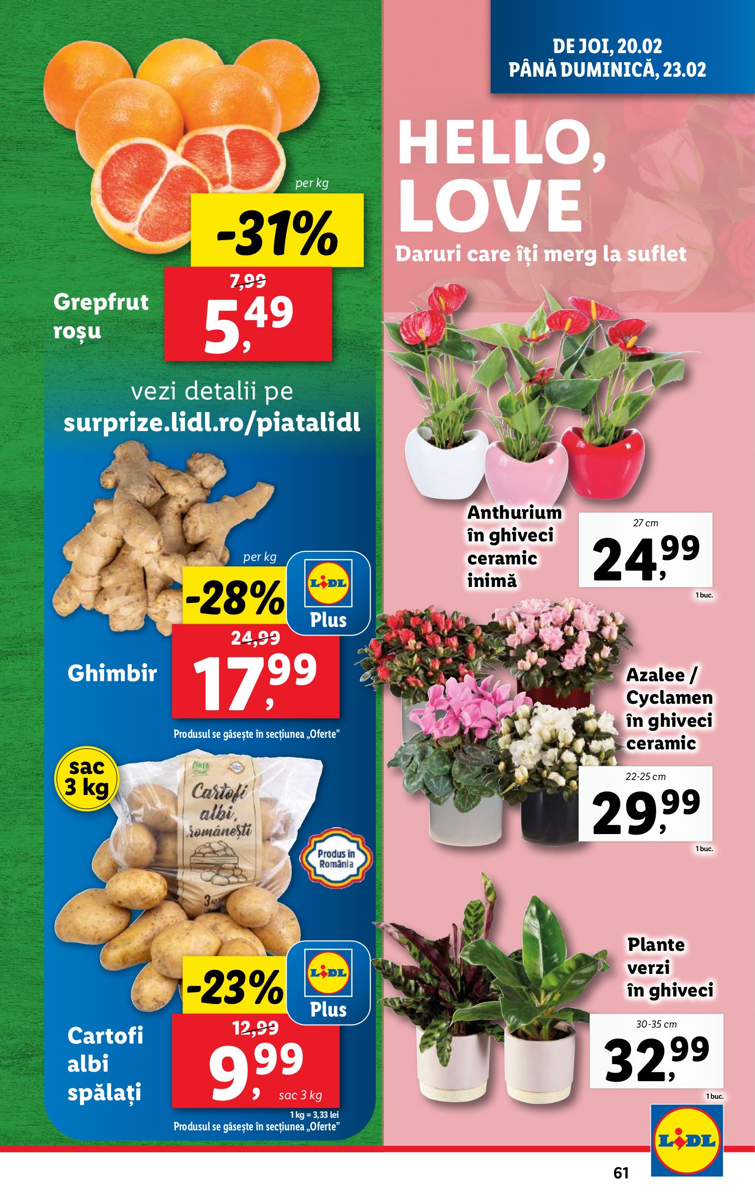 lidl - Catalog Lidl valabil din 17.02. - 23.02. - page: 61