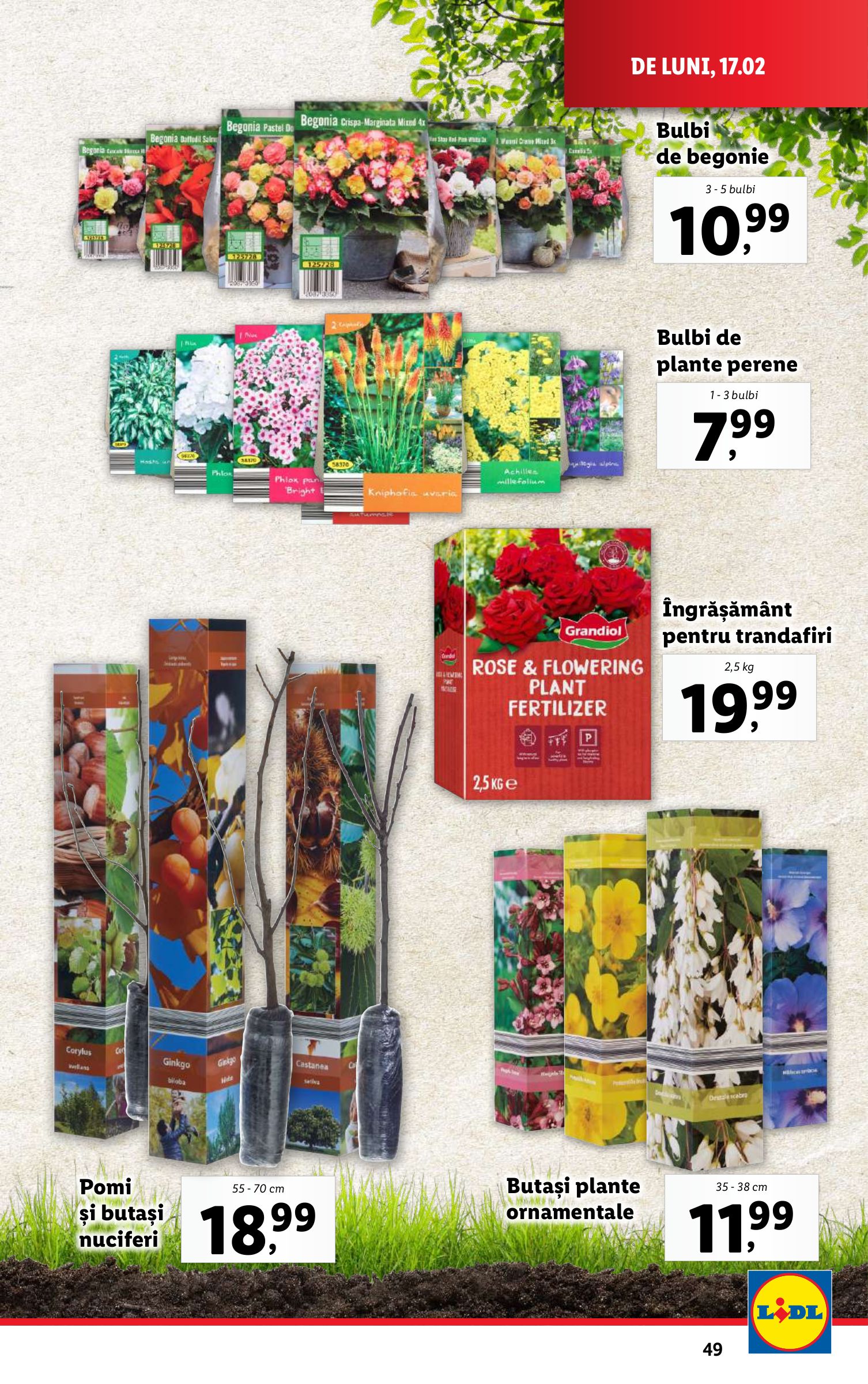 lidl - Catalog Lidl valabil din 17.02. - 23.02. - page: 49