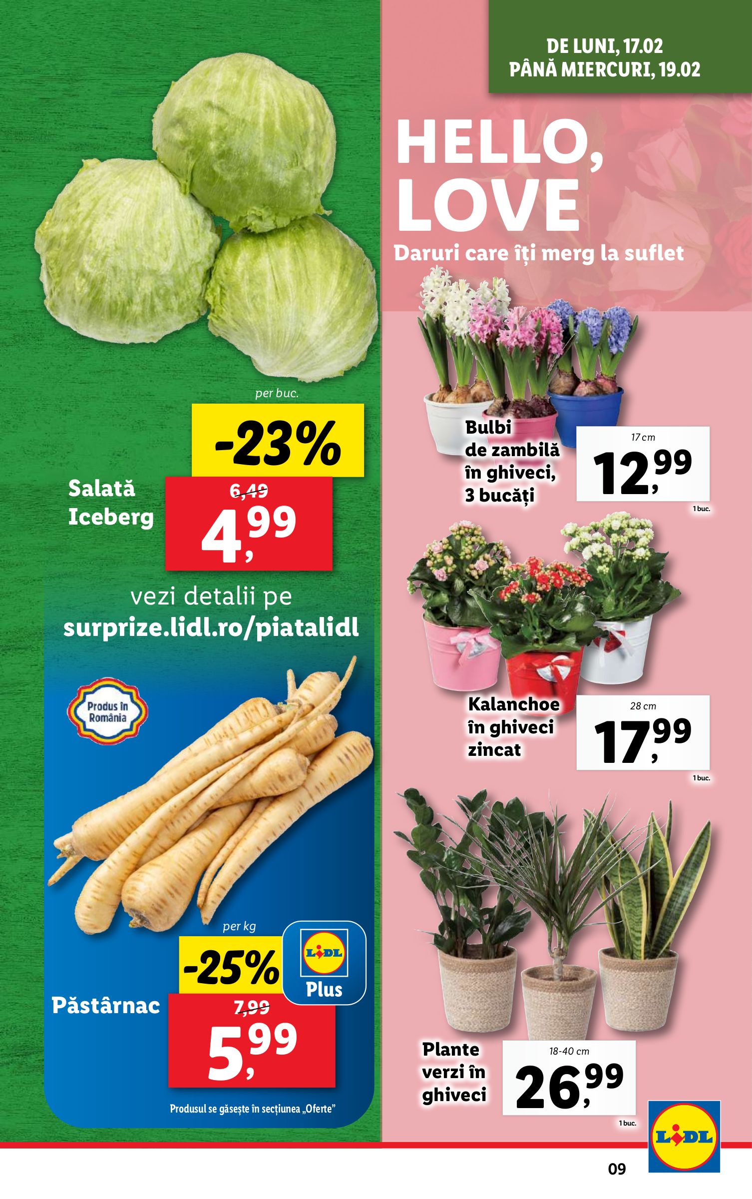 lidl - Catalog Lidl valabil din 17.02. - 23.02. - page: 9