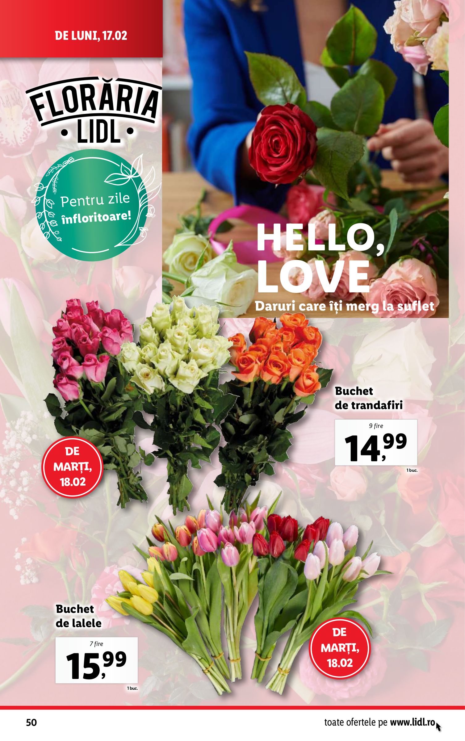 lidl - Catalog Lidl valabil din 17.02. - 23.02. - page: 50