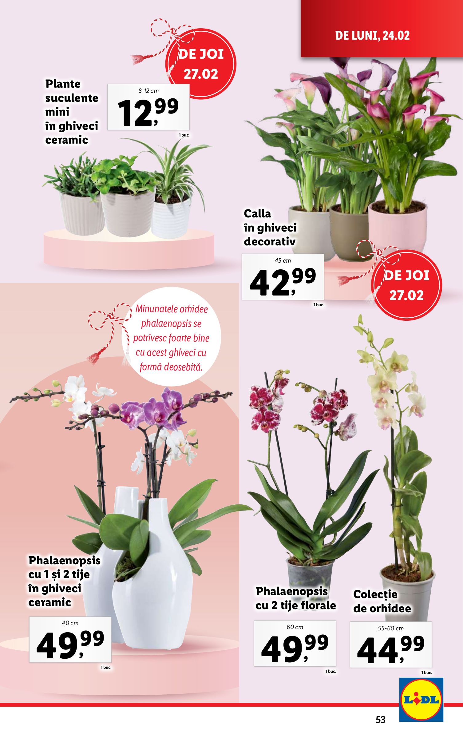 lidl - Catalog Lidl valabil din 24.02. - 02.03. - page: 53