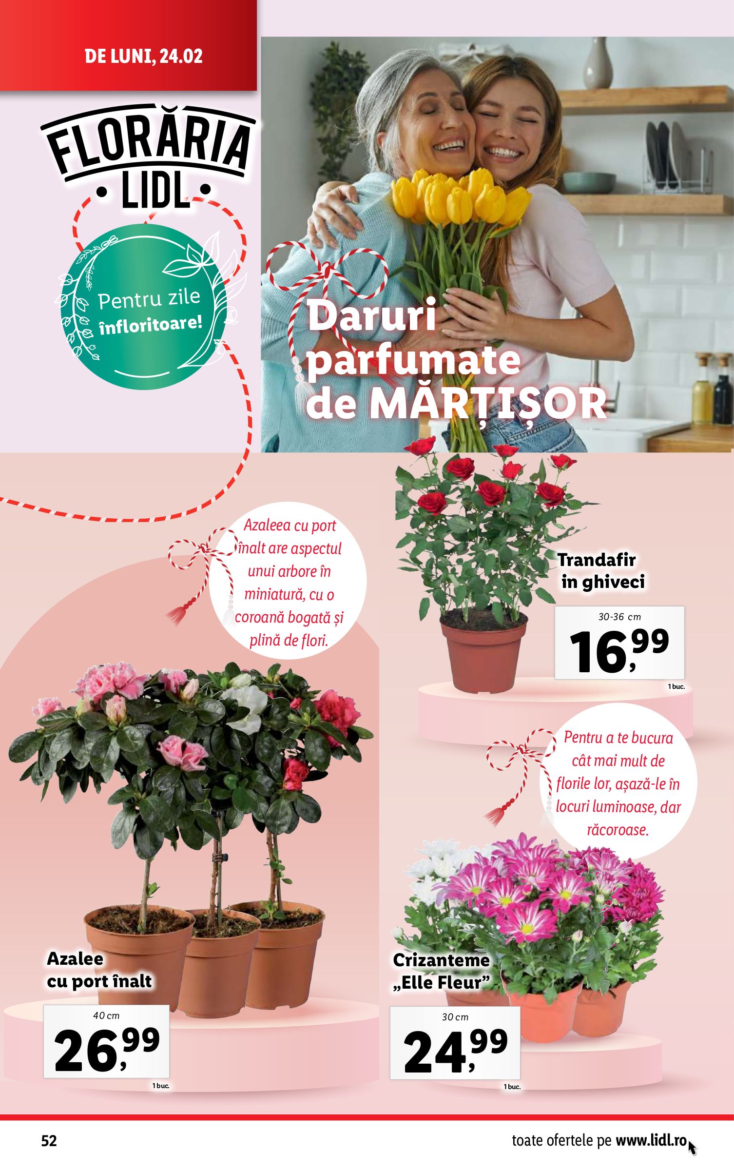 lidl - Catalog Lidl valabil din 24.02. - 02.03. - page: 52