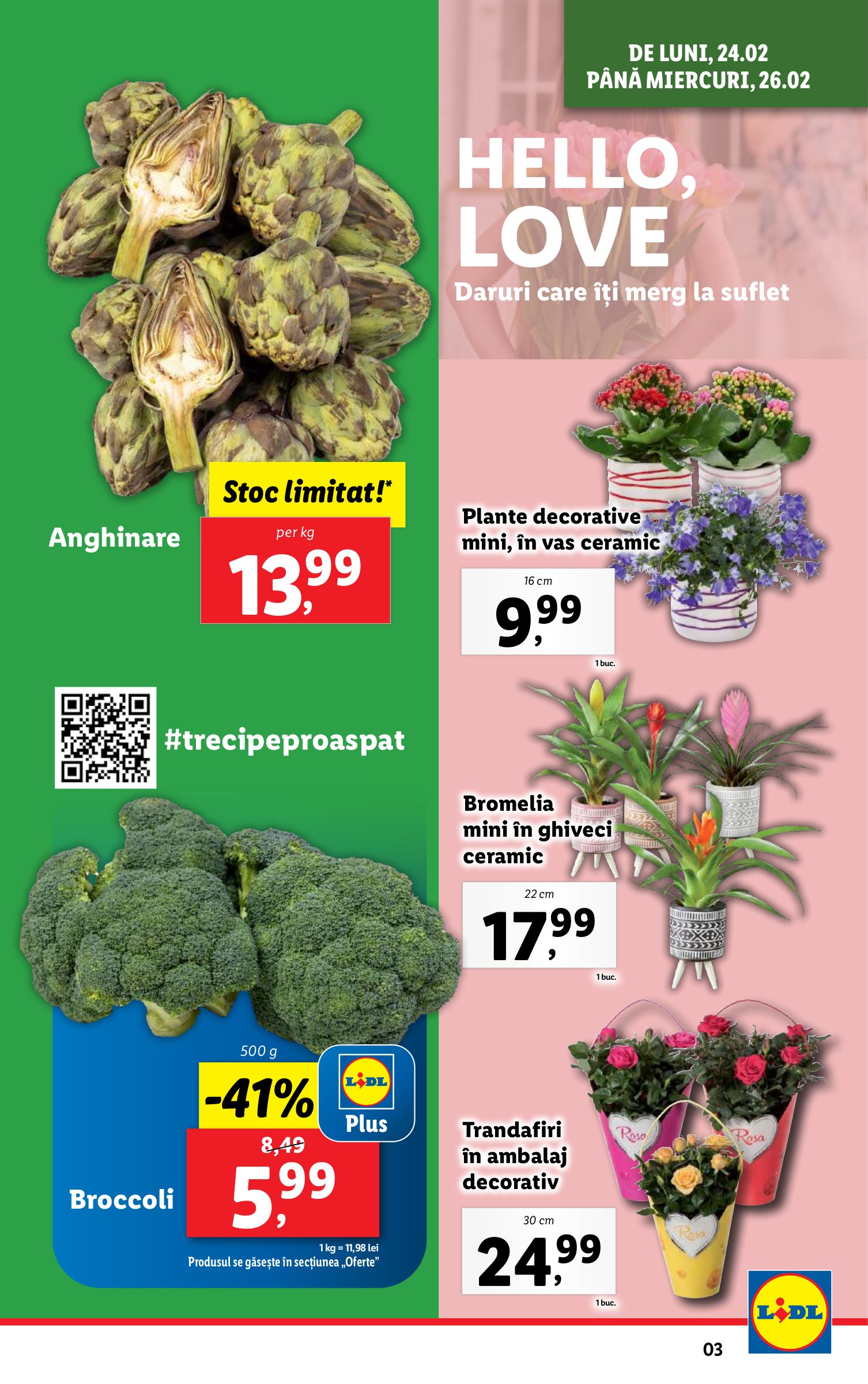 lidl - Catalog Lidl valabil din 24.02. - 02.03. - page: 3