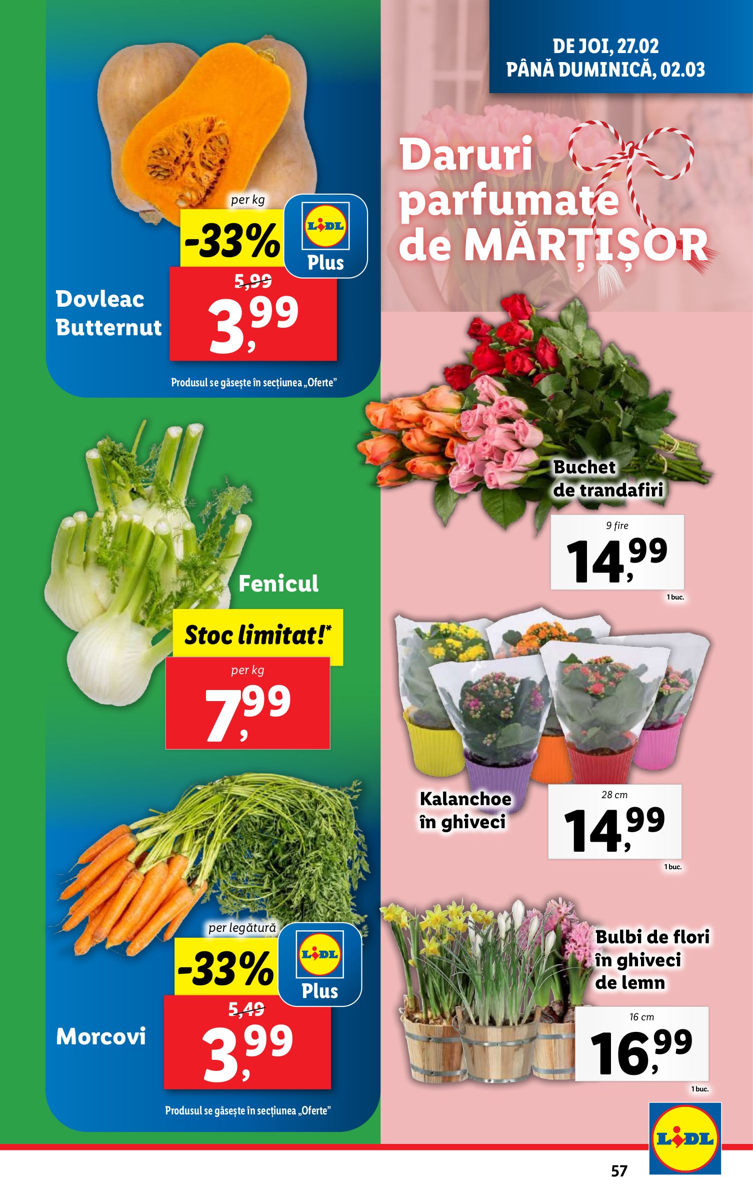 lidl - Catalog Lidl valabil din 24.02. - 02.03. - page: 57