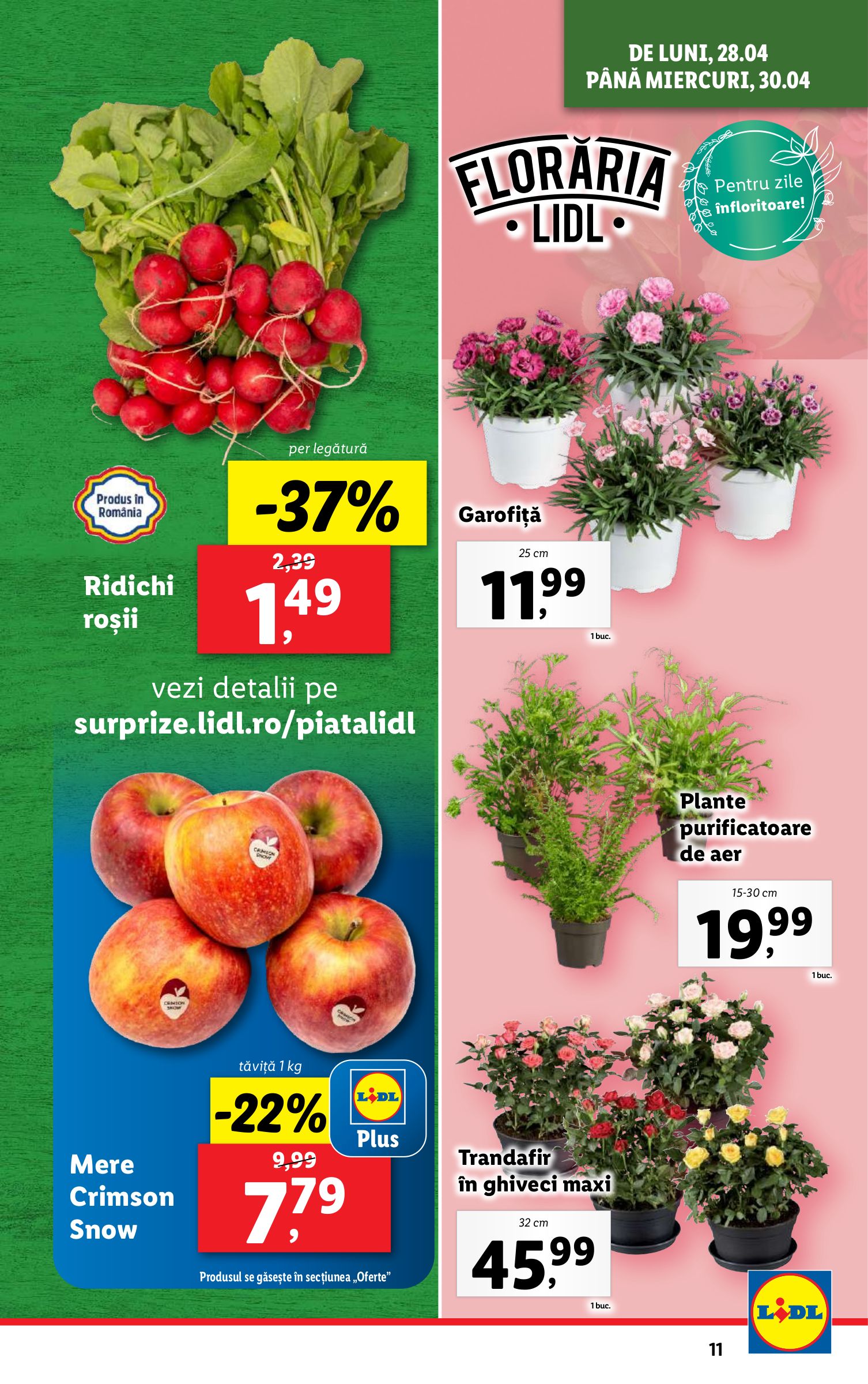 lidl - Catalog Lidl valabil din 28.04. - 04.05. - page: 11 lidl - Catalog Lidl valabil din 28.04. - 04.05. - page: 11