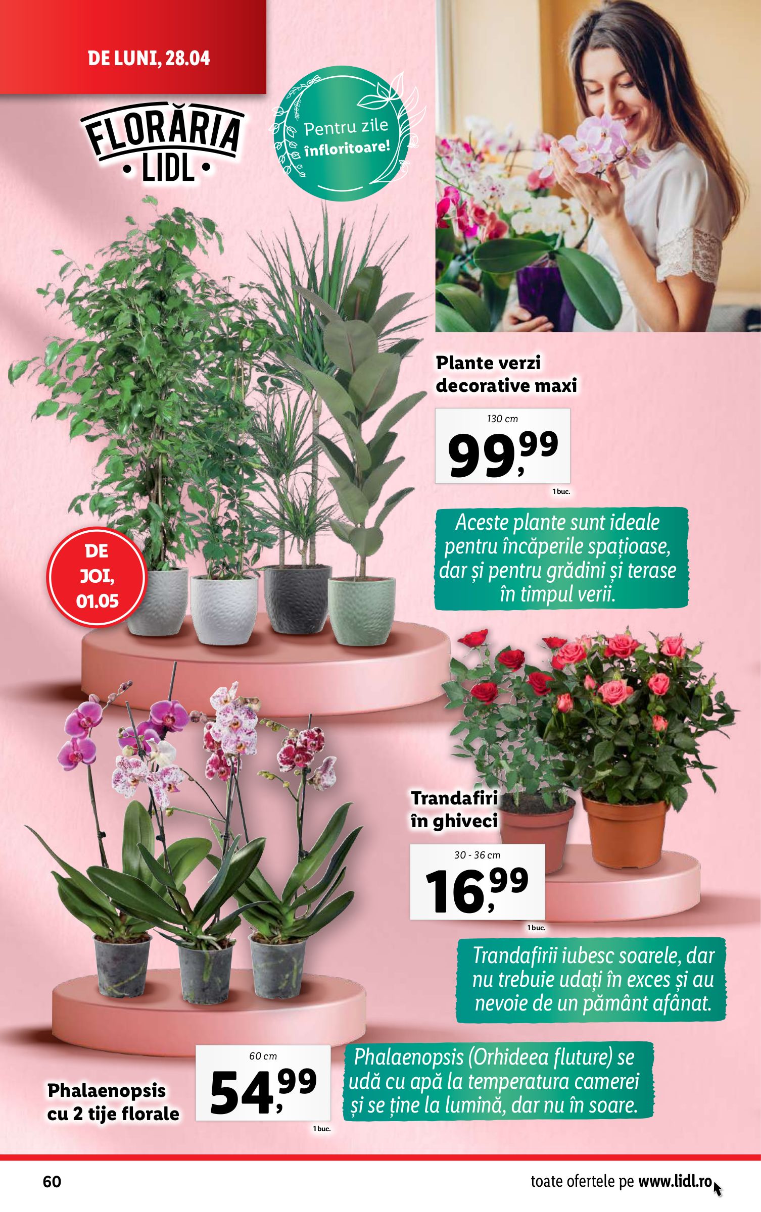 lidl - Catalog Lidl valabil din 28.04. - 04.05. - page: 60 lidl - Catalog Lidl valabil din 28.04. - 04.05. - page: 60