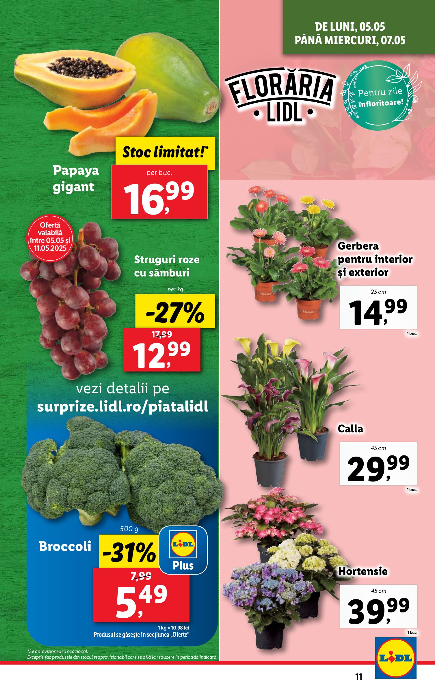 lidl - Catalog Lidl valabil din 05.05. - 11.05. - page: 11 lidl - Catalog Lidl valabil din 05.05. - 11.05. - page: 11