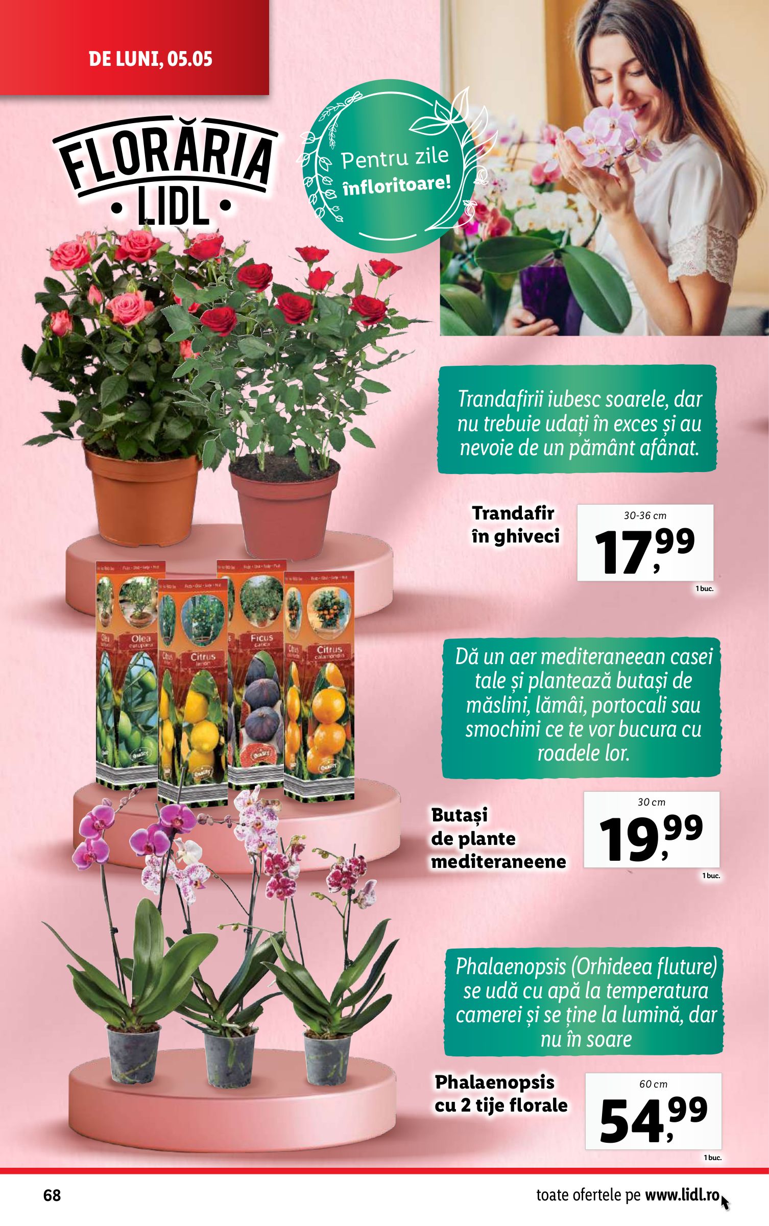 lidl - Catalog Lidl valabil din 05.05. - 11.05. - page: 68 lidl - Catalog Lidl valabil din 05.05. - 11.05. - page: 68