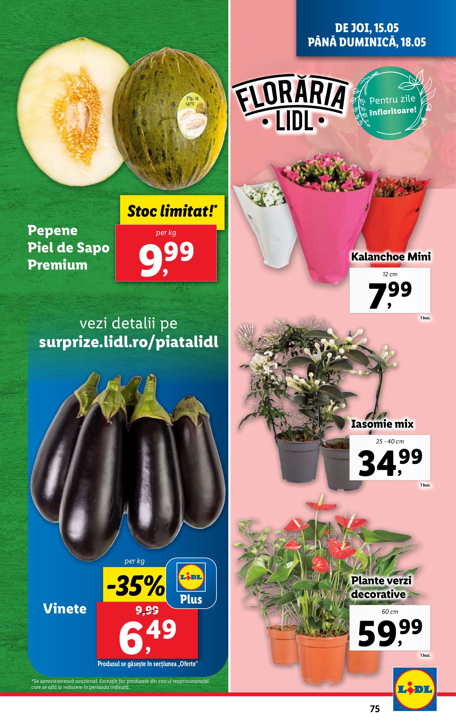 lidl - Catalog Lidl valabil din 12.05. - 18.05. - page: 75 lidl - Catalog Lidl valabil din 12.05. - 18.05. - page: 75
