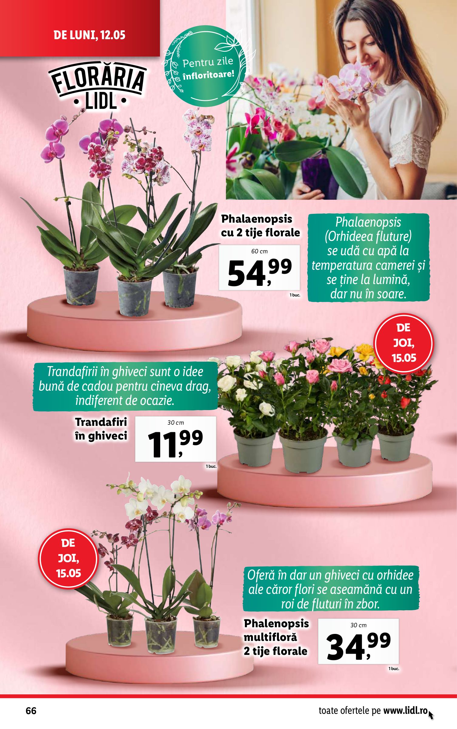 lidl - Catalog Lidl valabil din 12.05. - 18.05. - page: 66 lidl - Catalog Lidl valabil din 12.05. - 18.05. - page: 66