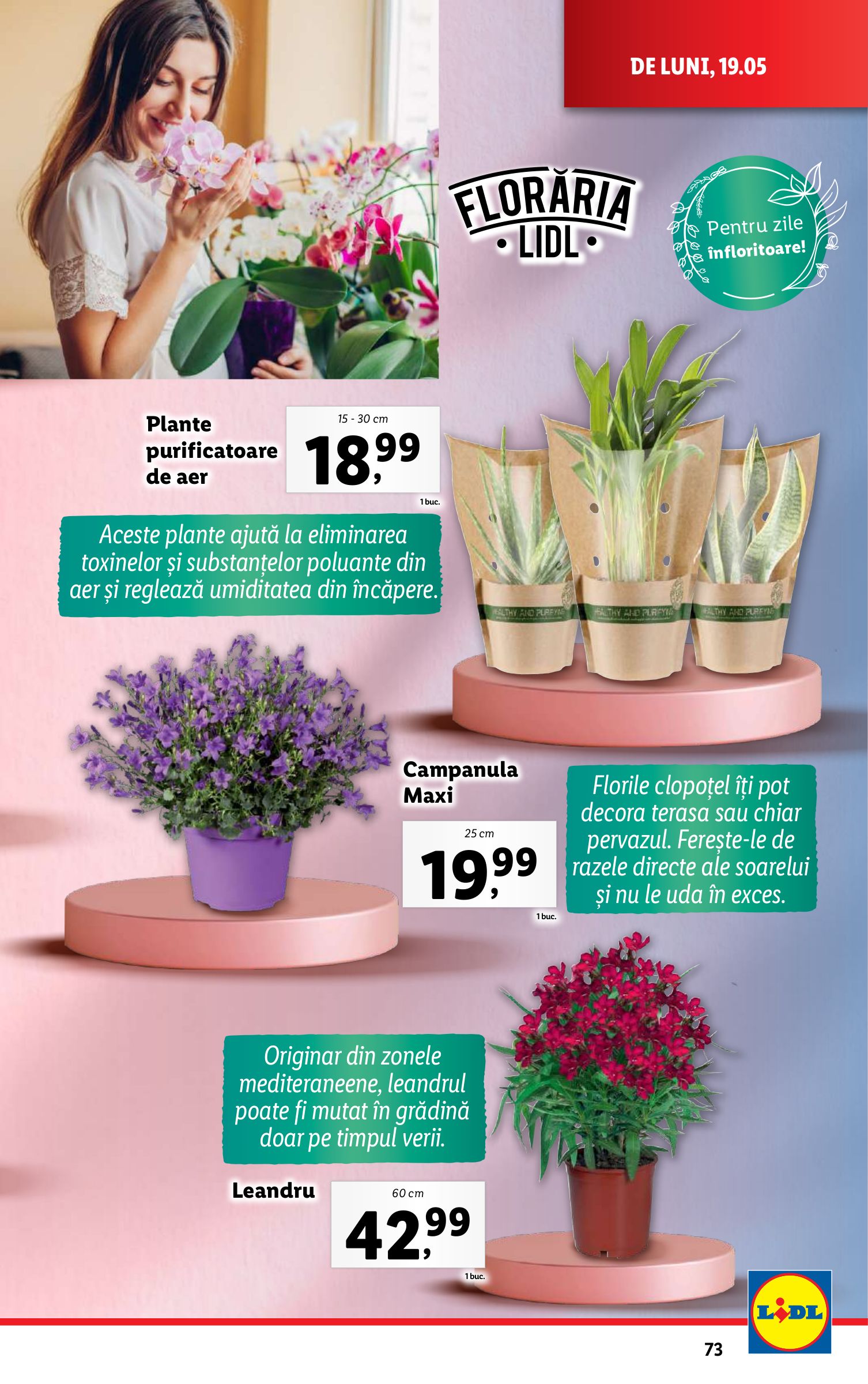 lidl - Catalog Lidl valabil din 19.05. - 25.05. - page: 73 lidl - Catalog Lidl valabil din 19.05. - 25.05. - page: 73