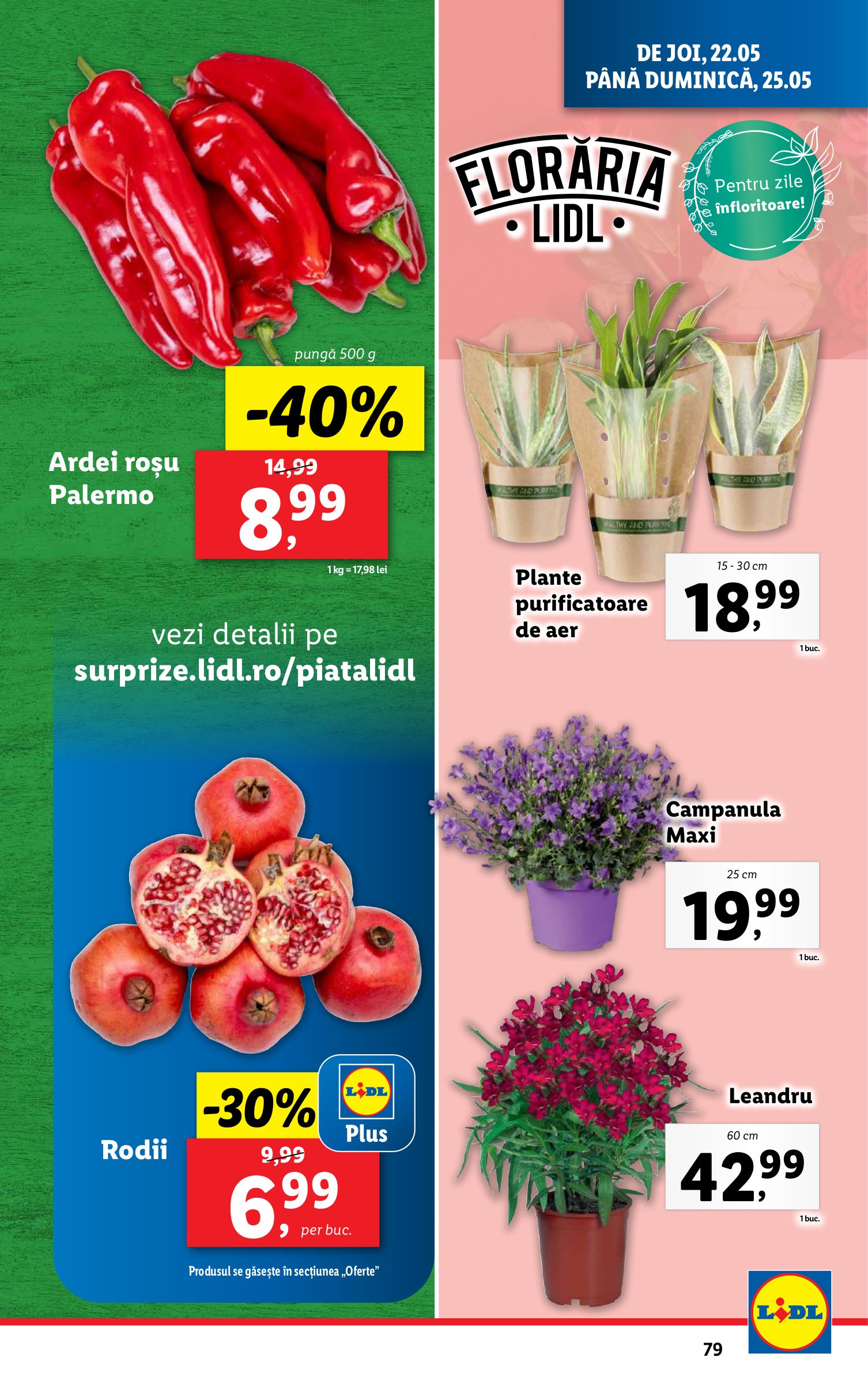 lidl - Catalog Lidl valabil din 19.05. - 25.05. - page: 79 lidl - Catalog Lidl valabil din 19.05. - 25.05. - page: 79
