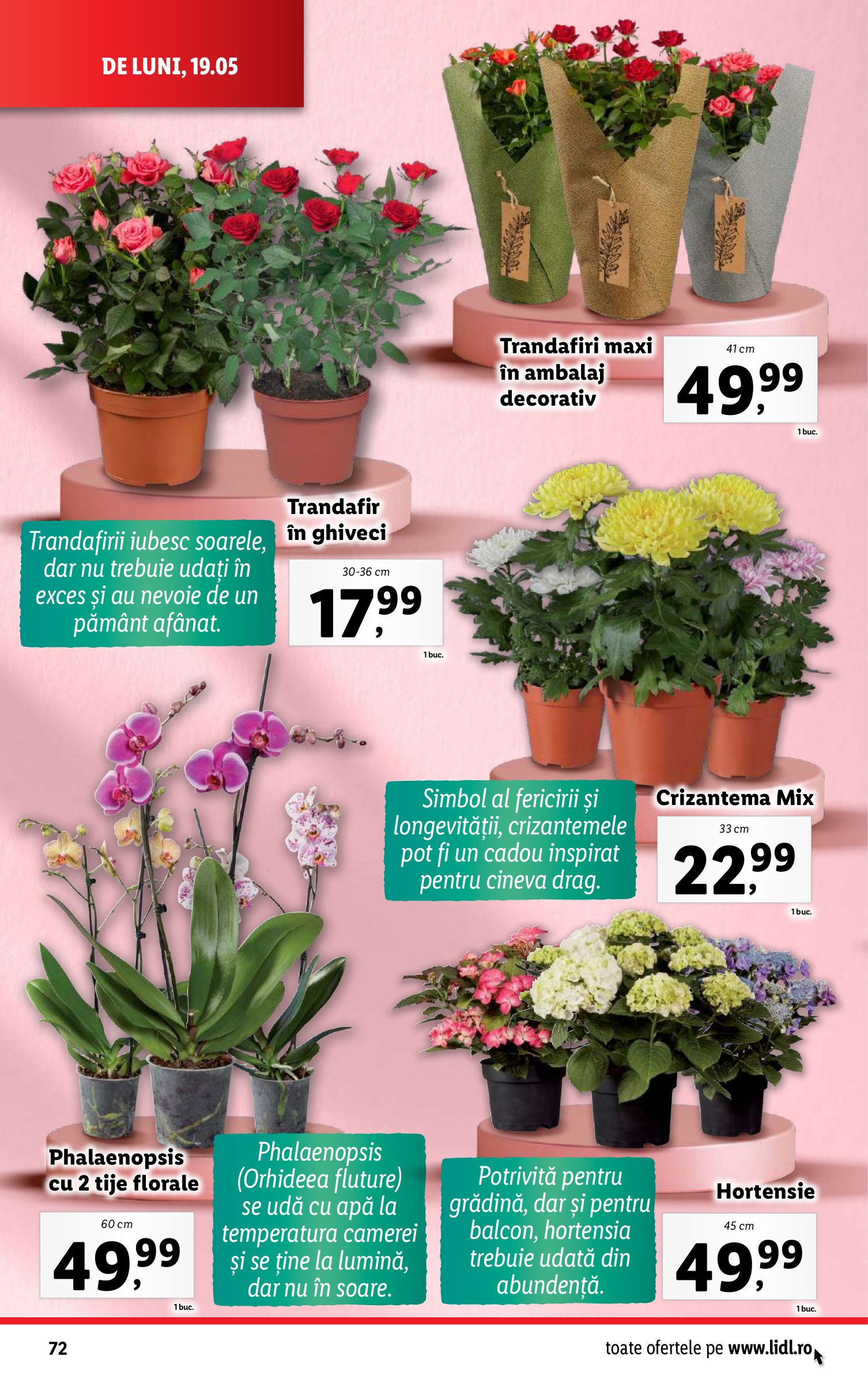 lidl - Catalog Lidl valabil din 19.05. - 25.05. - page: 72 lidl - Catalog Lidl valabil din 19.05. - 25.05. - page: 72