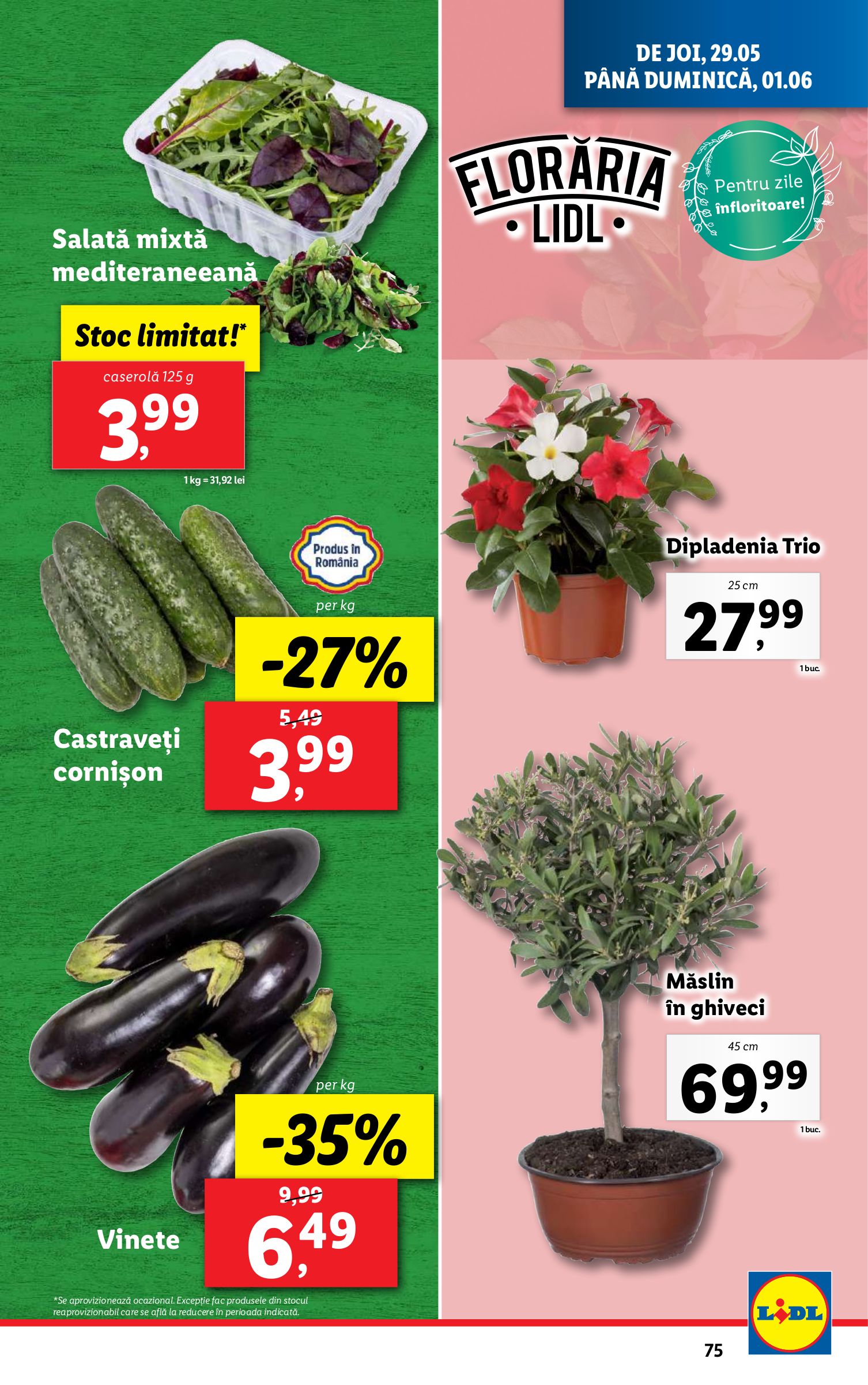 lidl - Catalog Lidl valabil din 26.05. - 01.06. - page: 75 lidl - Catalog Lidl valabil din 26.05. - 01.06. - page: 75