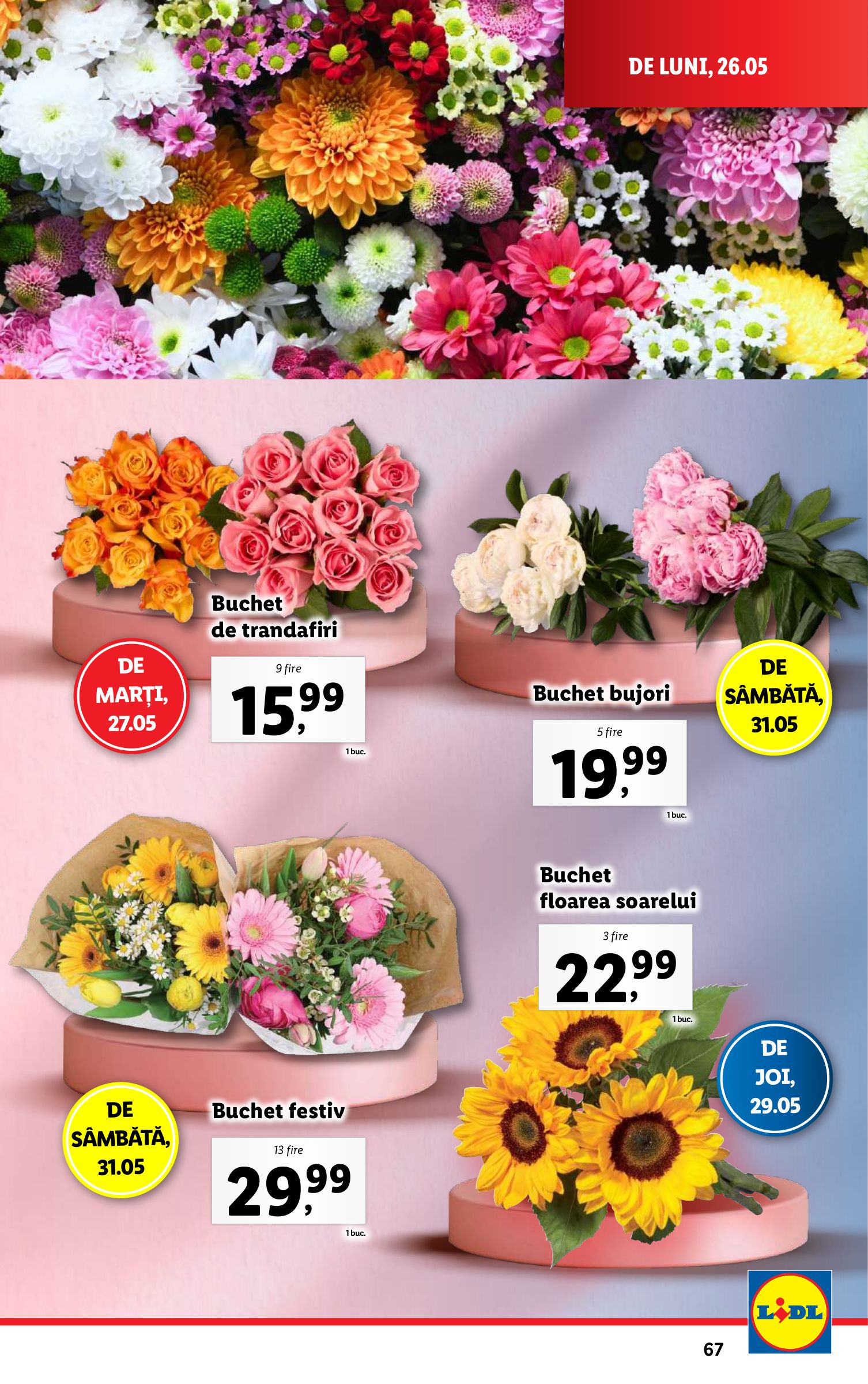 lidl - Catalog Lidl valabil din 26.05. - 01.06. - page: 67 lidl - Catalog Lidl valabil din 26.05. - 01.06. - page: 67