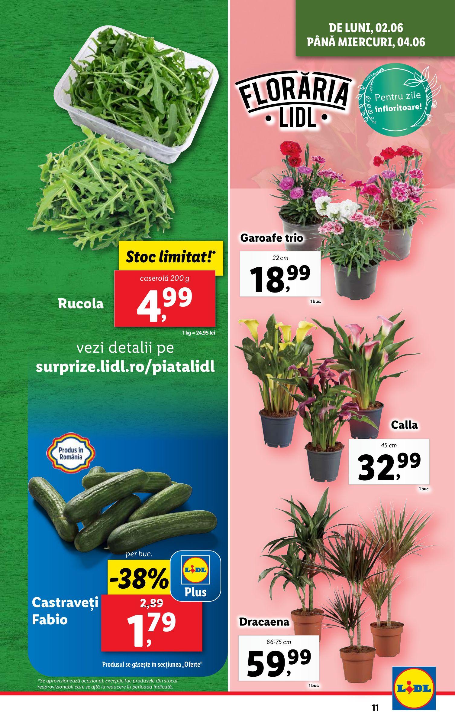 lidl - Catalog Lidl valabil din 02.06. - 08.06. - page: 11