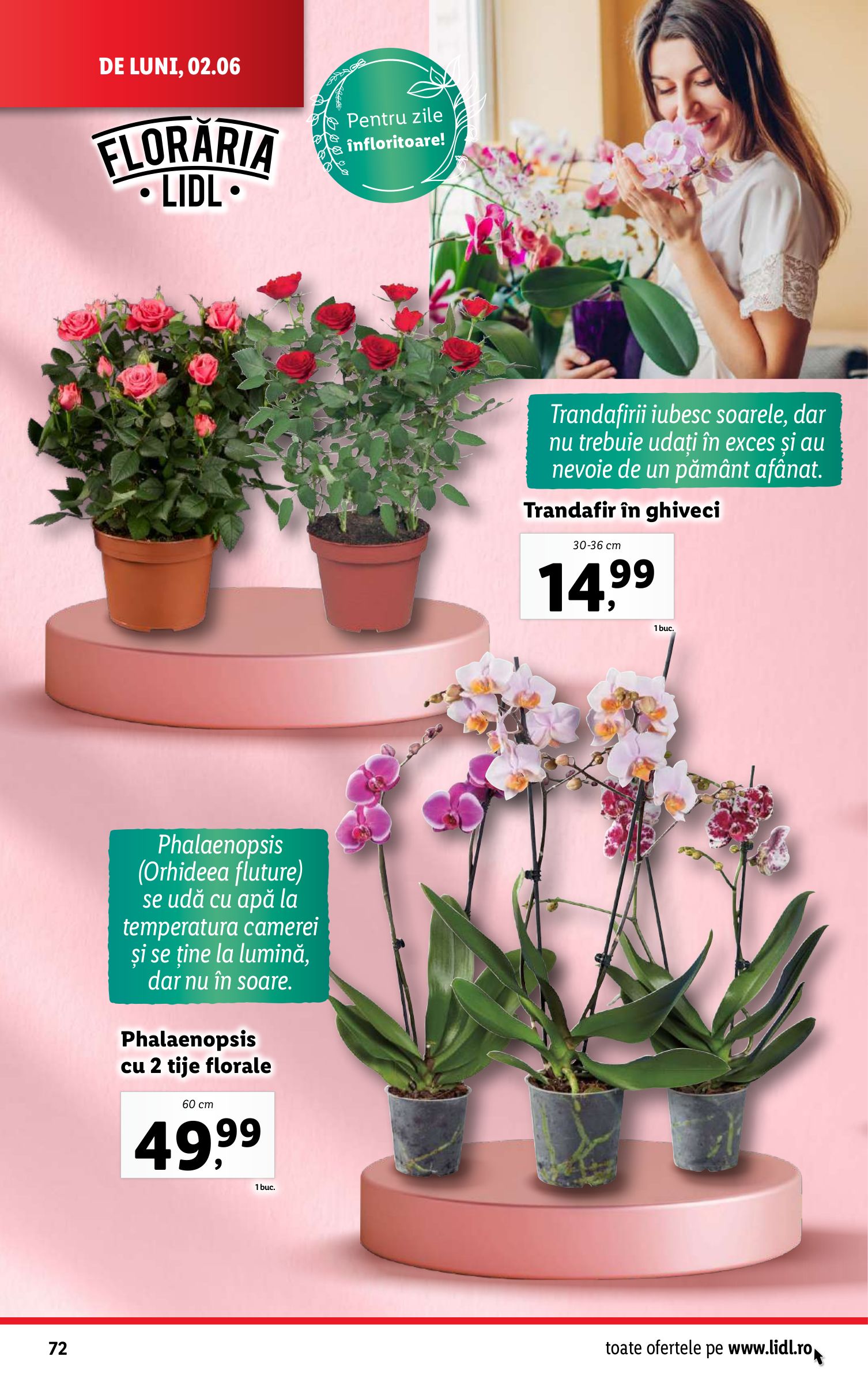 lidl - Catalog Lidl valabil din 02.06. - 08.06. - page: 72