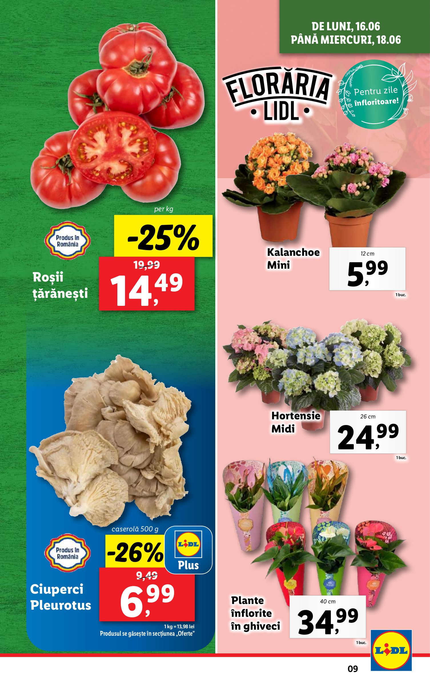 lidl - Catalog Lidl valabil din 16.06. până pe 22.06. - page: 9 lidl - Catalog Lidl valabil din 16.06. până pe 22.06. - page: 9