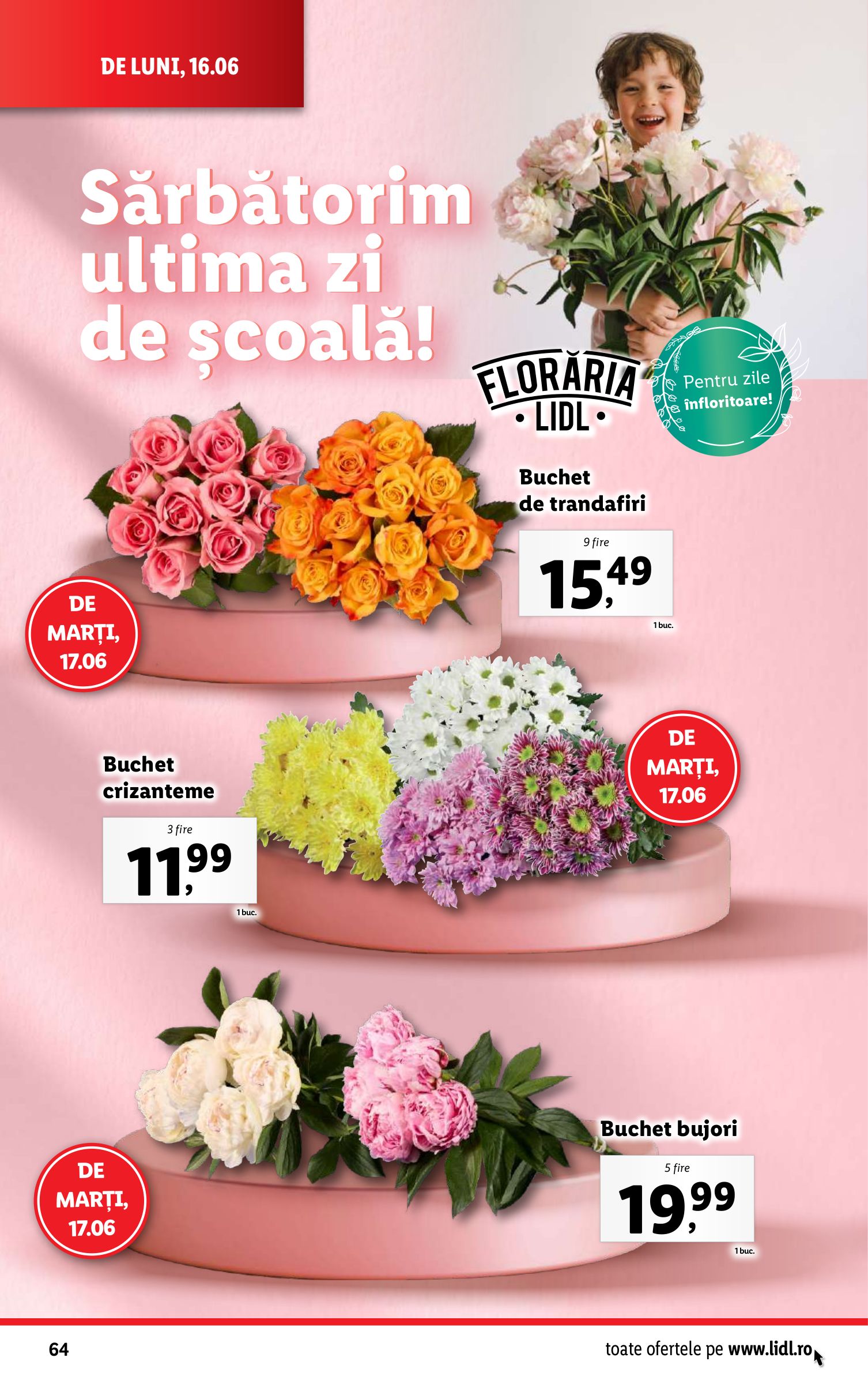 lidl - Catalog Lidl valabil din 16.06. până pe 22.06. - page: 64 lidl - Catalog Lidl valabil din 16.06. până pe 22.06. - page: 64