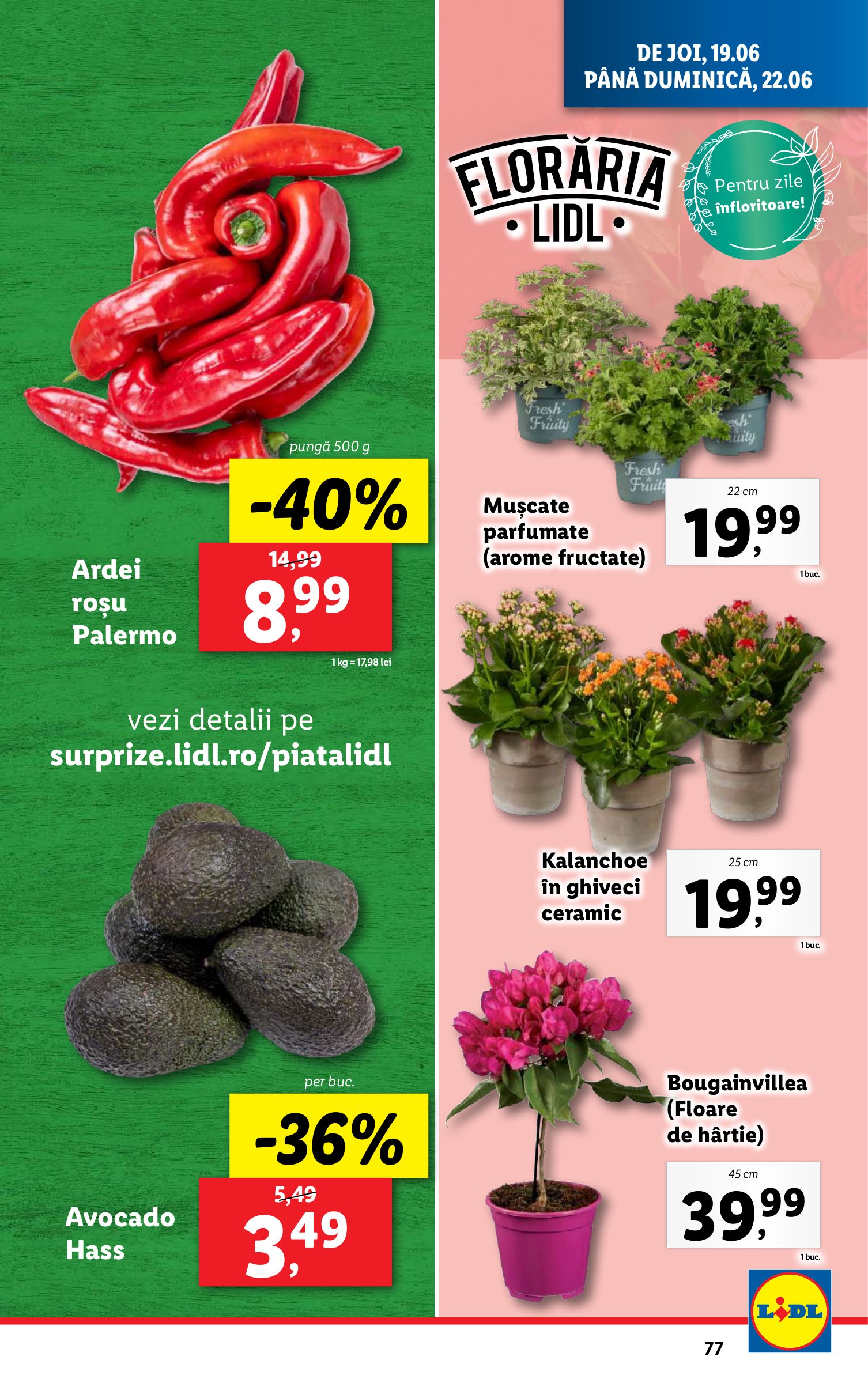 lidl - Catalog Lidl valabil din 16.06. până pe 22.06. - page: 77 lidl - Catalog Lidl valabil din 16.06. până pe 22.06. - page: 77