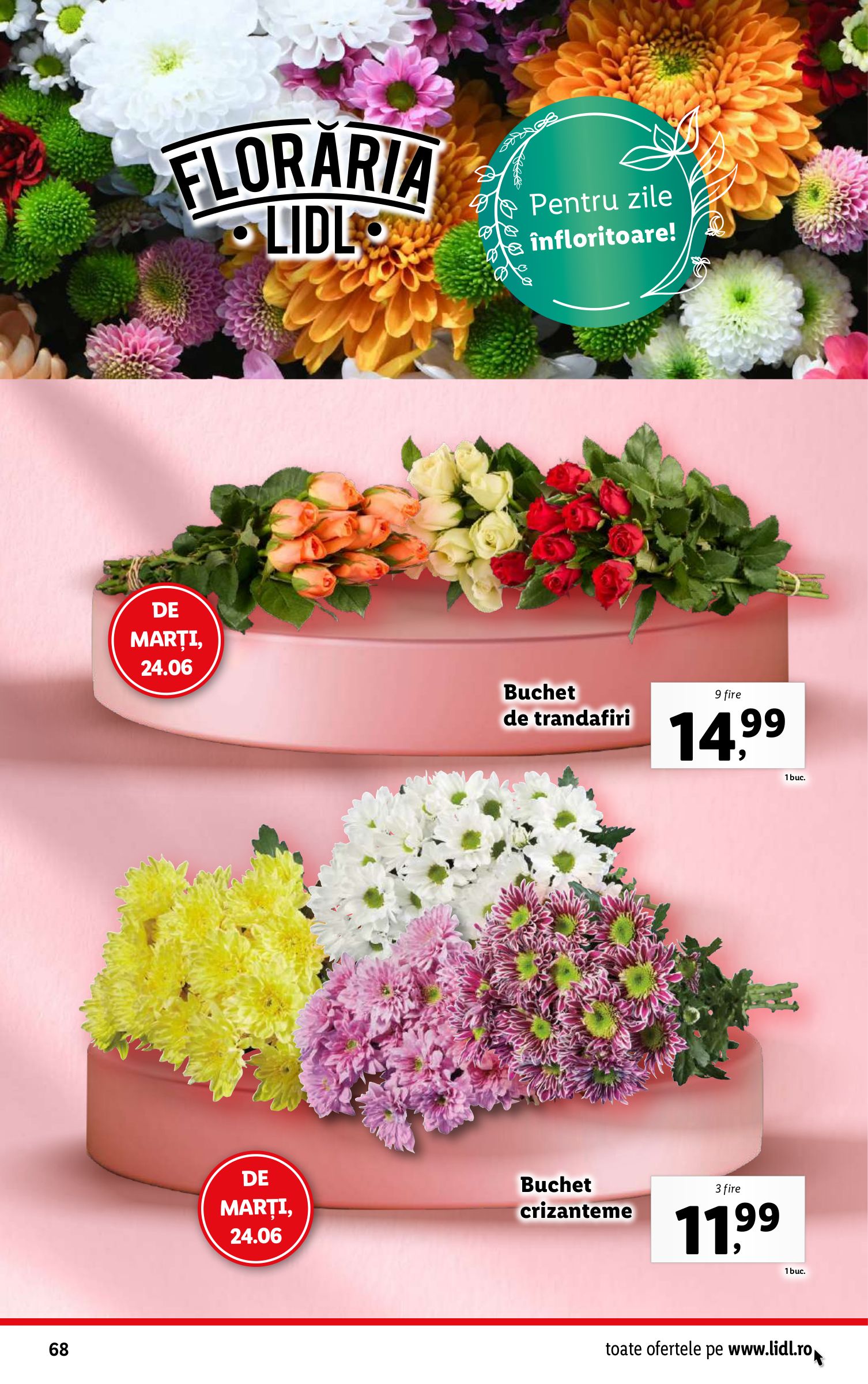 lidl - Catalog Lidl valabil din 23.06. până pe 29.06. - page: 68 lidl - Catalog Lidl valabil din 23.06. până pe 29.06. - page: 68