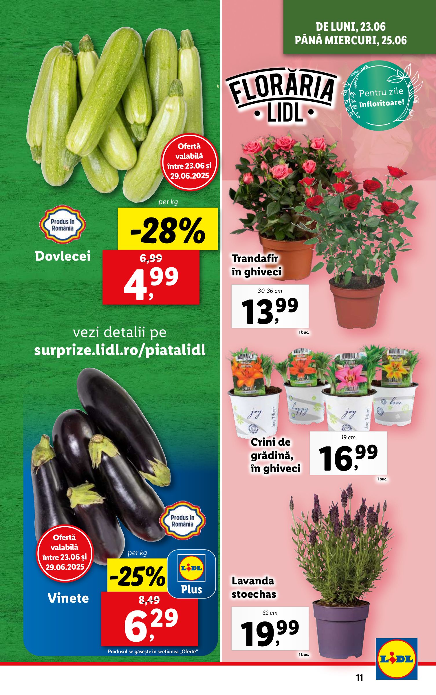 lidl - Catalog Lidl valabil din 23.06. până pe 29.06. - page: 11 lidl - Catalog Lidl valabil din 23.06. până pe 29.06. - page: 11