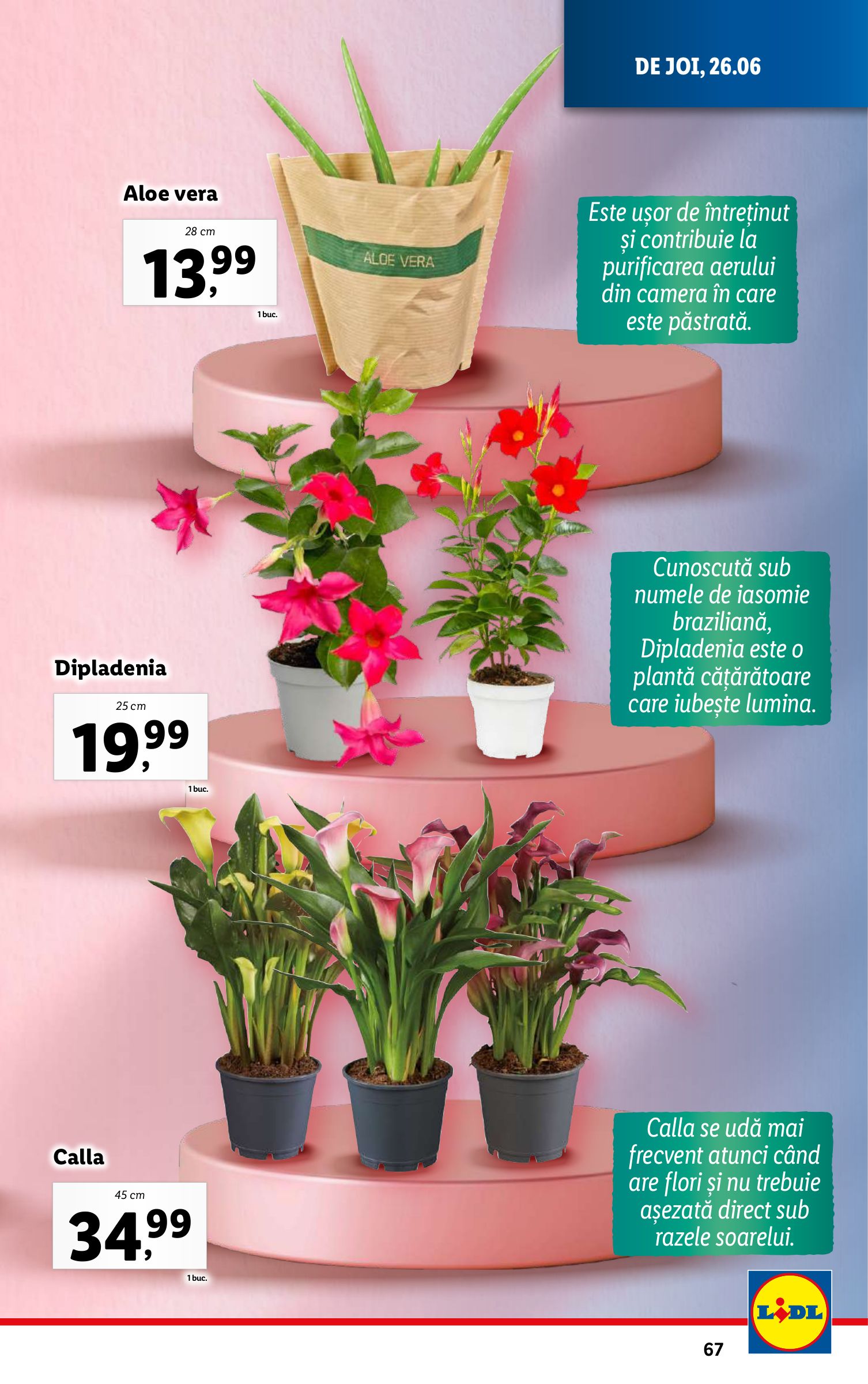 lidl - Catalog Lidl valabil din 23.06. până pe 29.06. - page: 67 lidl - Catalog Lidl valabil din 23.06. până pe 29.06. - page: 67