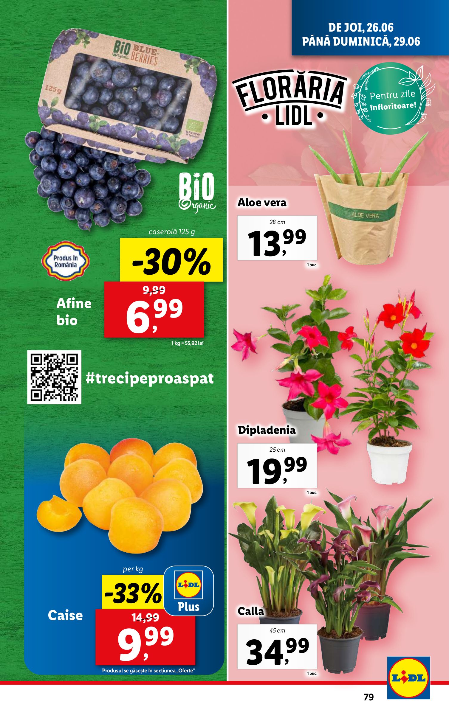 lidl - Catalog Lidl valabil din 23.06. până pe 29.06. - page: 79 lidl - Catalog Lidl valabil din 23.06. până pe 29.06. - page: 79