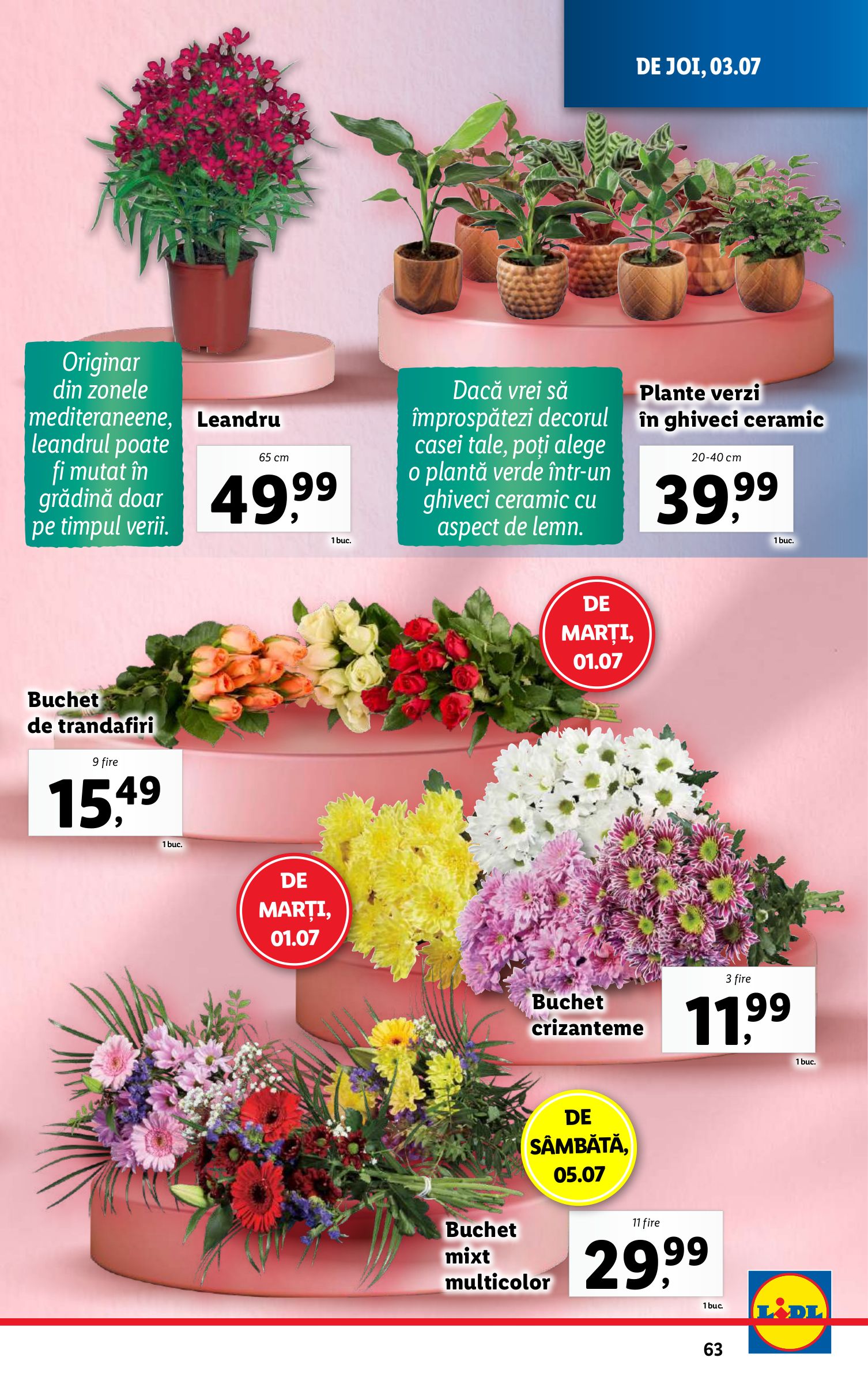lidl - Catalog Lidl valabil din 30.06. până pe 06.07. - page: 63 lidl - Catalog Lidl valabil din 30.06. până pe 06.07. - page: 63