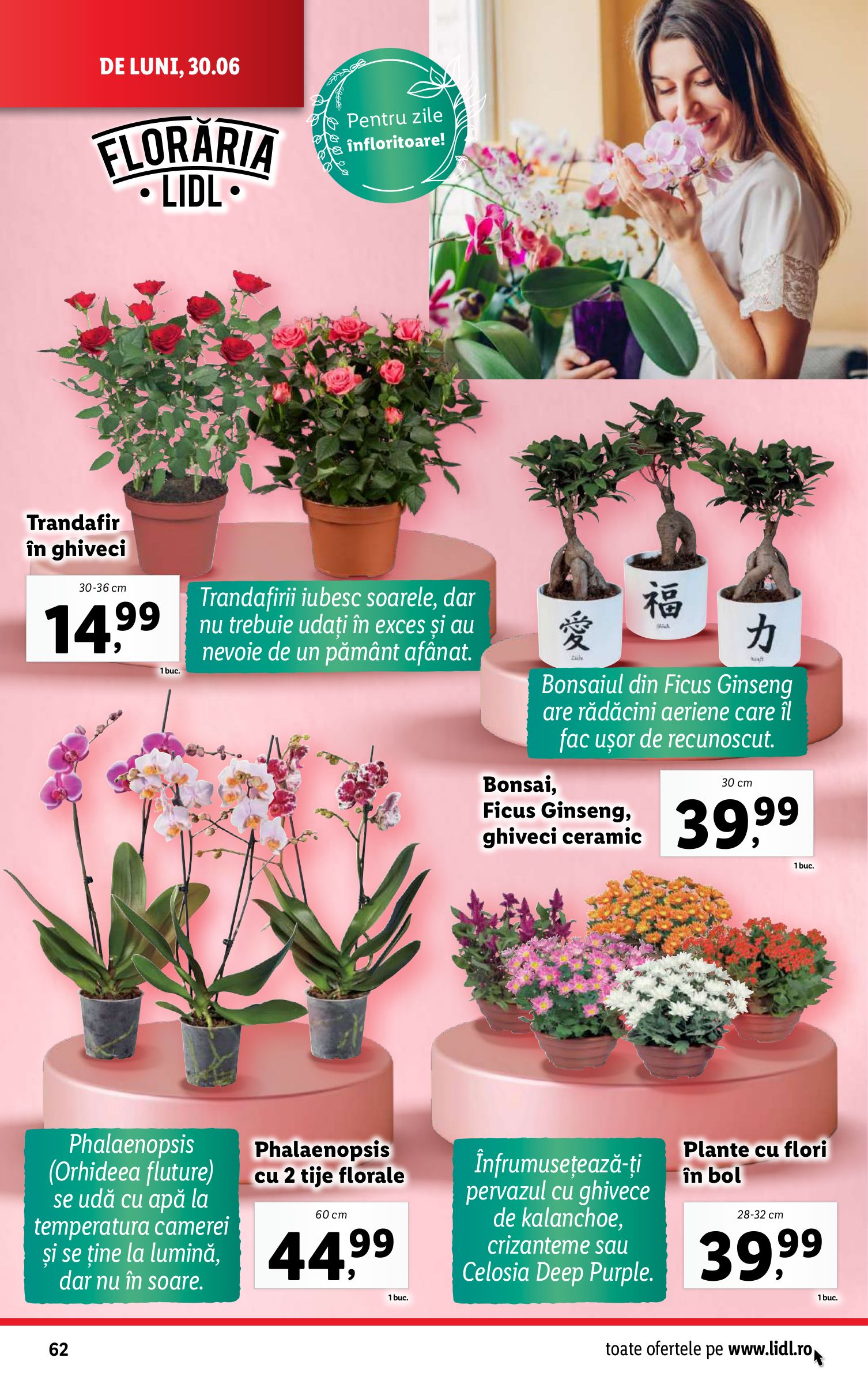 lidl - Catalog Lidl valabil din 30.06. până pe 06.07. - page: 62 lidl - Catalog Lidl valabil din 30.06. până pe 06.07. - page: 62