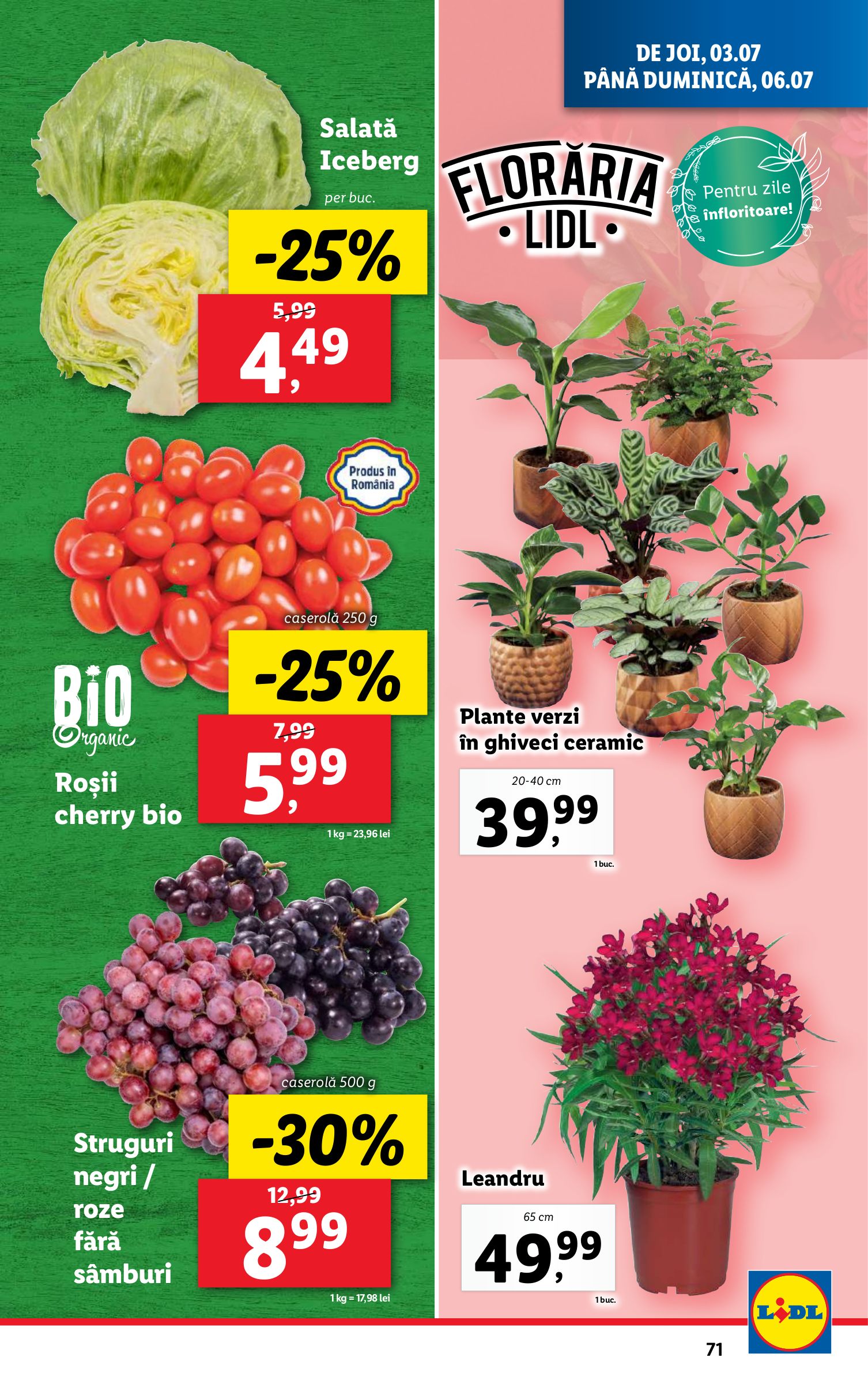 lidl - Catalog Lidl valabil din 30.06. până pe 06.07. - page: 71 lidl - Catalog Lidl valabil din 30.06. până pe 06.07. - page: 71