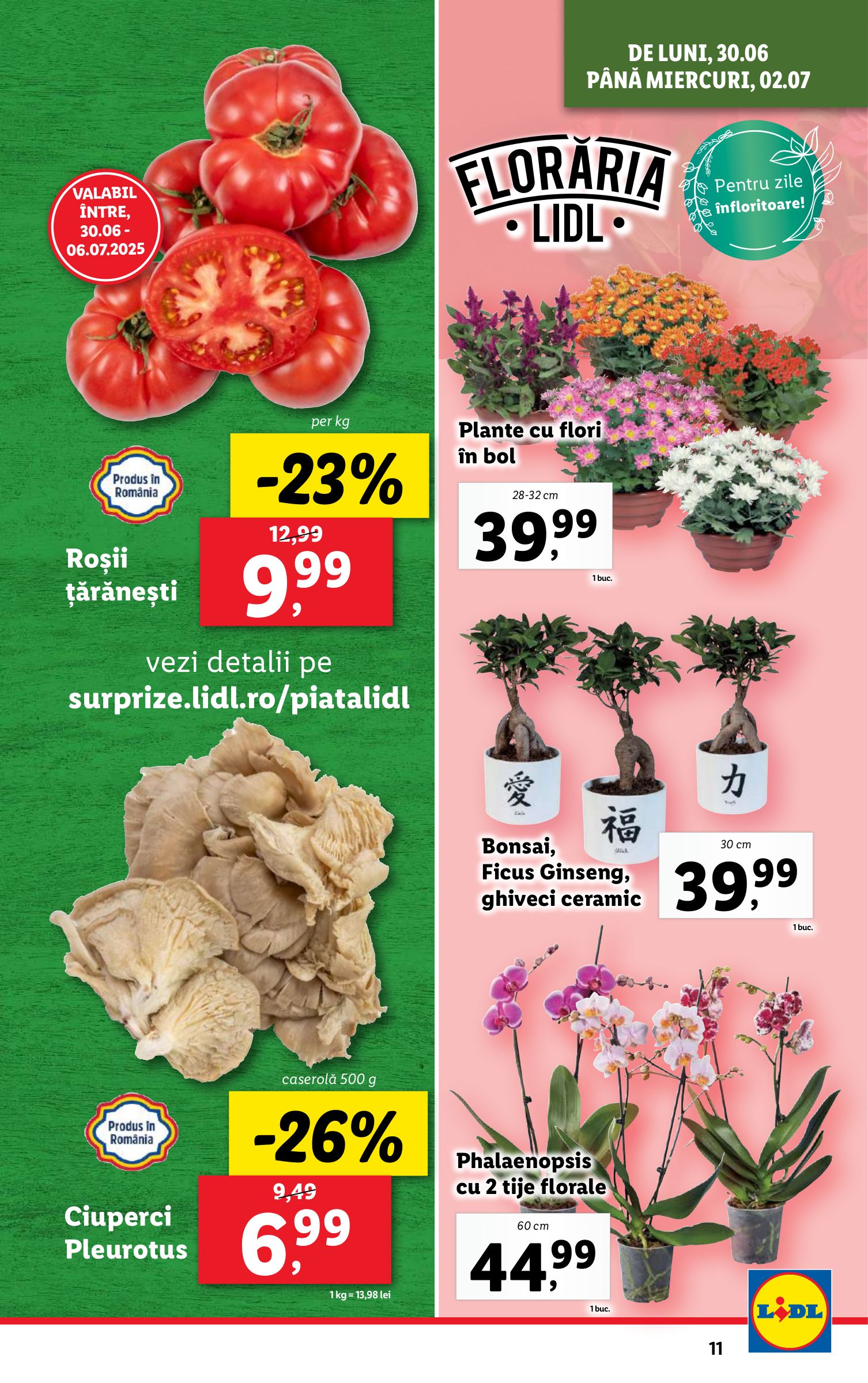 lidl - Catalog Lidl valabil din 30.06. până pe 06.07. - page: 11 lidl - Catalog Lidl valabil din 30.06. până pe 06.07. - page: 11