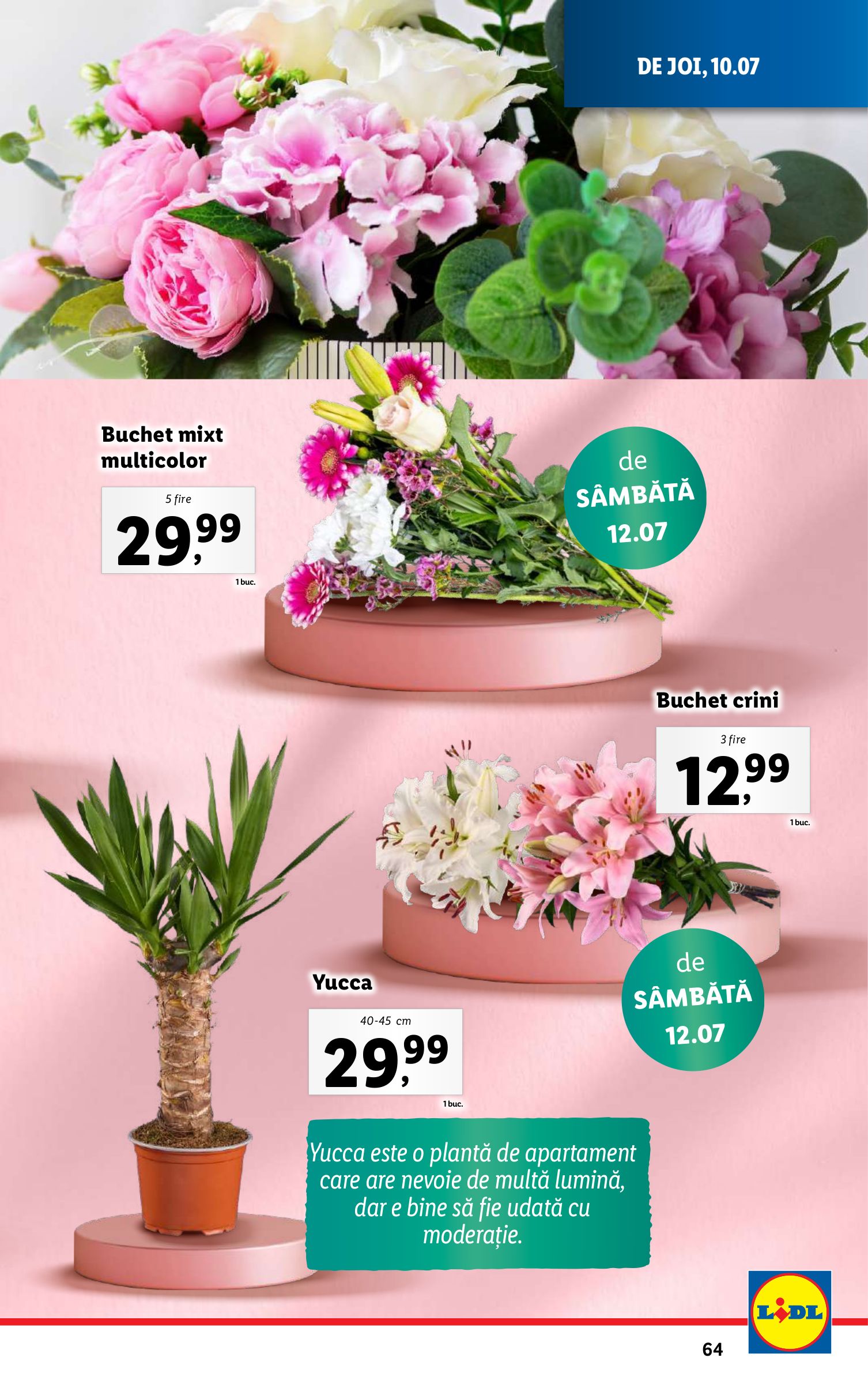 lidl - Catalog Lidl valabil din 07.07. până pe 13.07. - page: 65