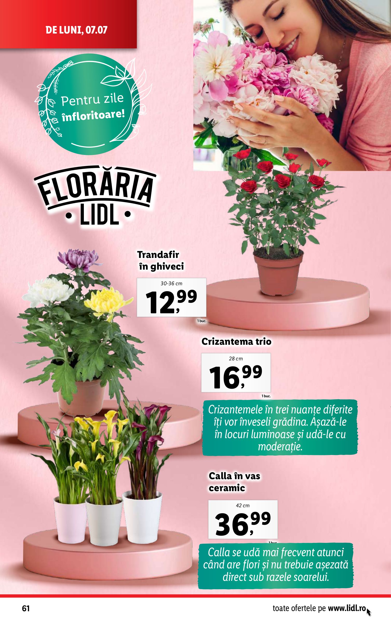 lidl - Catalog Lidl valabil din 07.07. până pe 13.07. - page: 62