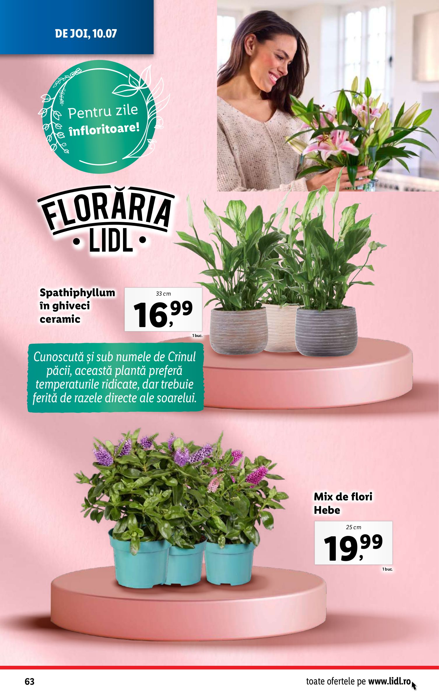 lidl - Catalog Lidl valabil din 07.07. până pe 13.07. - page: 64