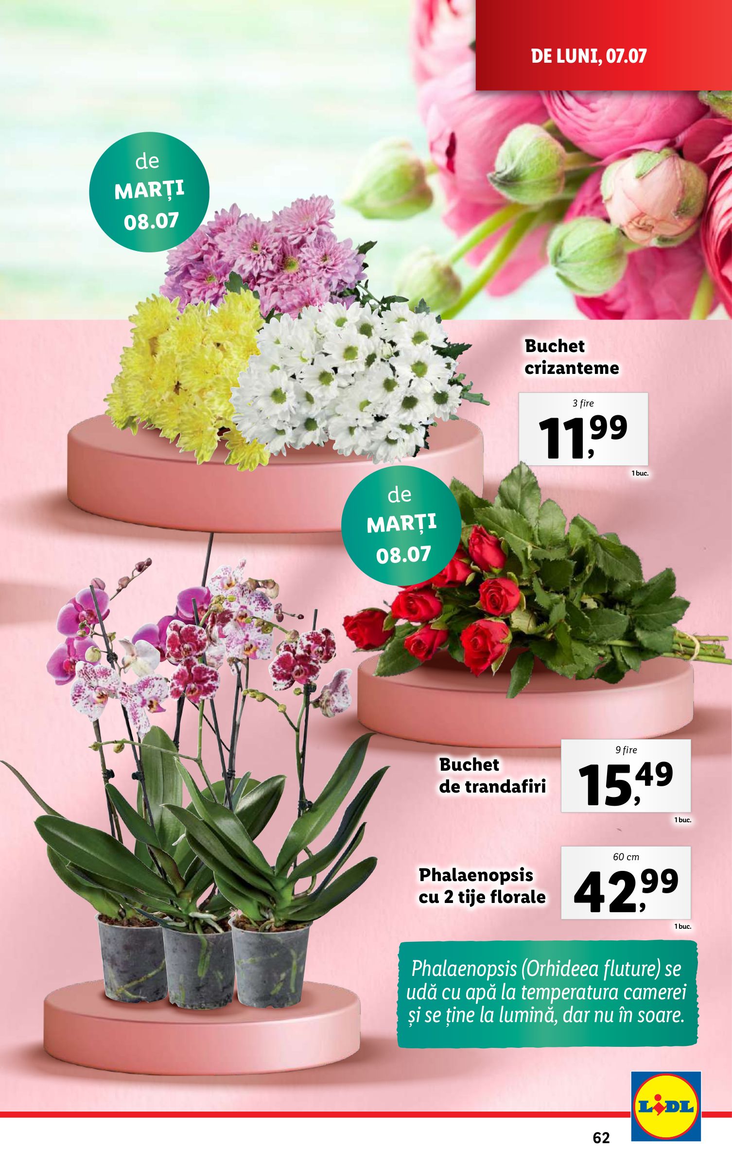 lidl - Catalog Lidl valabil din 07.07. până pe 13.07. - page: 63