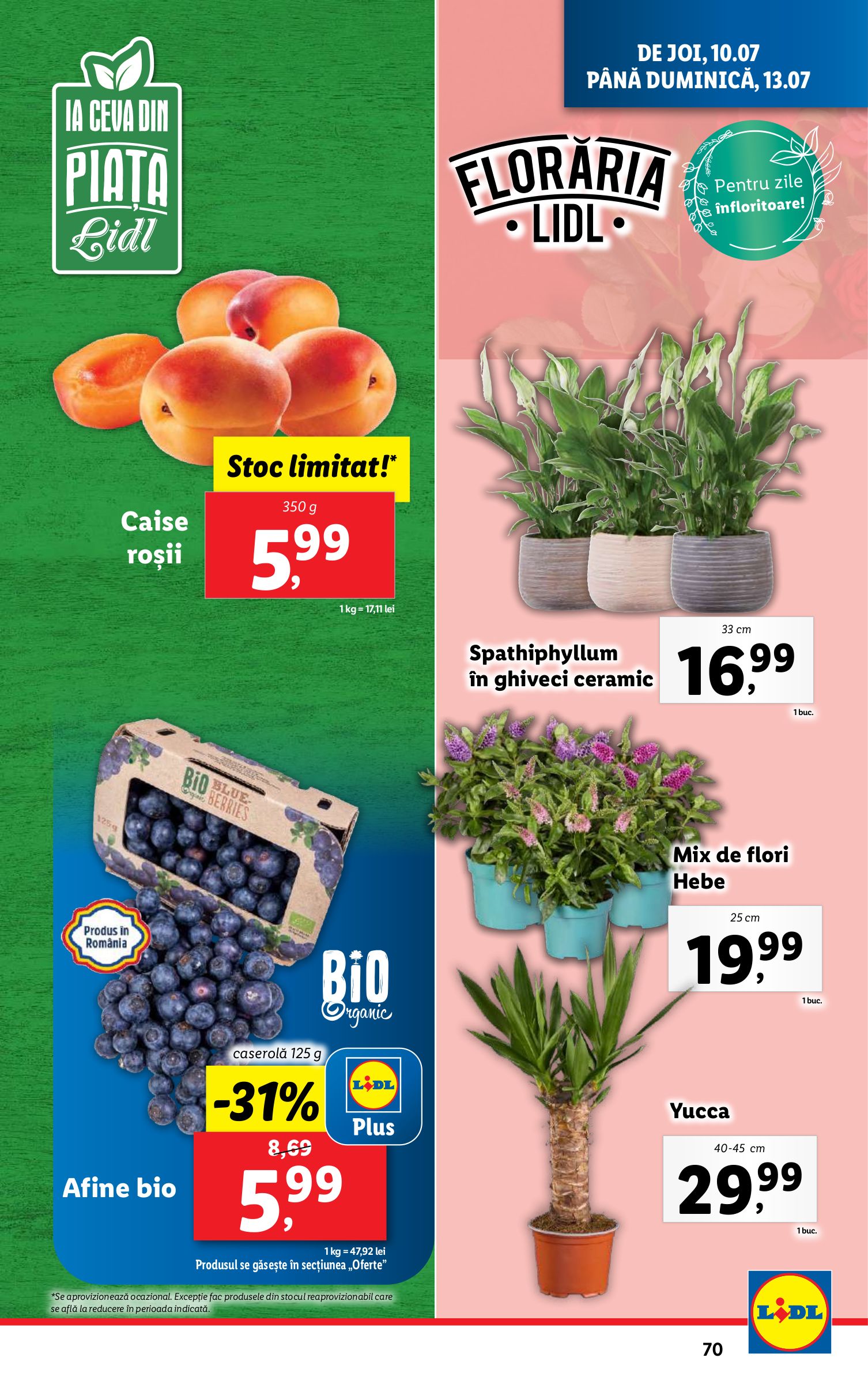 lidl - Catalog Lidl valabil din 07.07. până pe 13.07. - page: 71