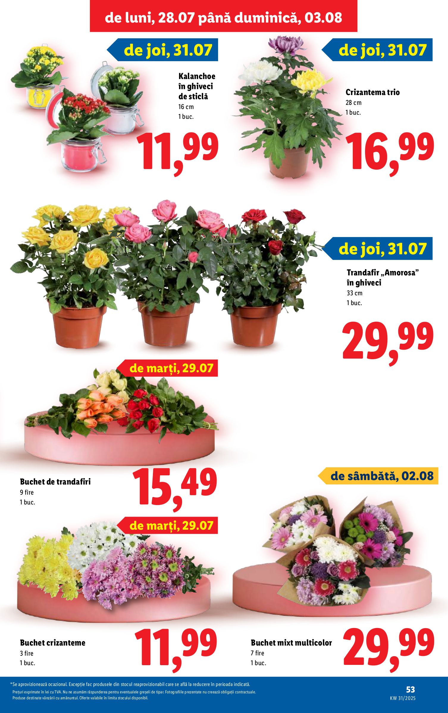 lidl - Catalog Lidl valabil din 28.07. până pe 03.08. - page: 53