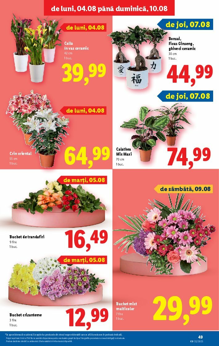 lidl - Catalog Lidl valabil din 04.08. până pe 10.08. - page: 49