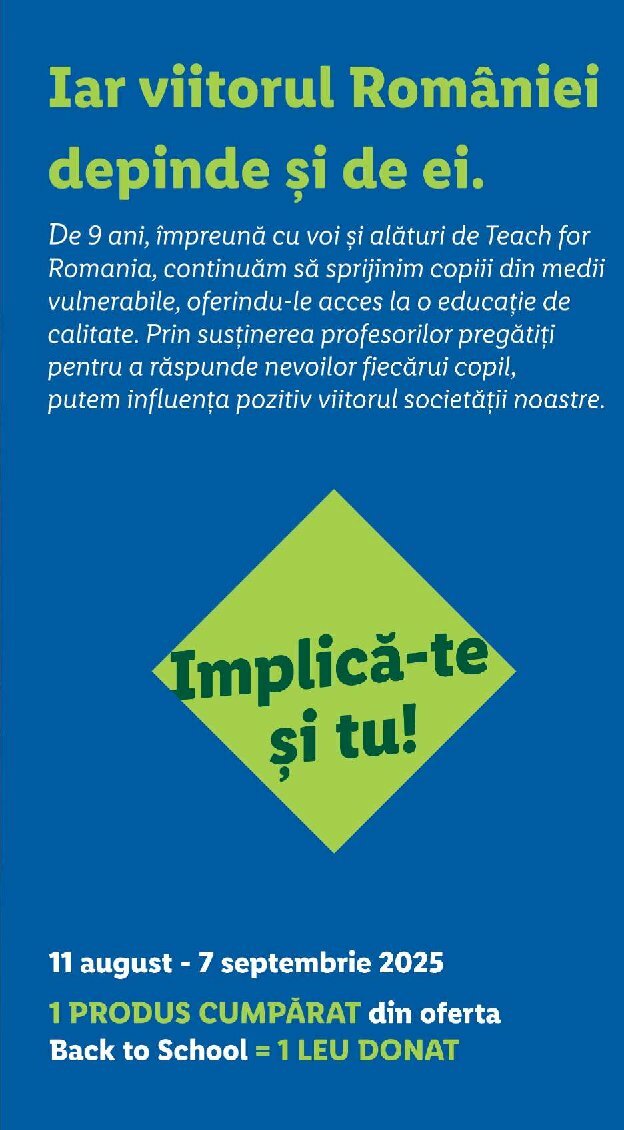 lidl - Catalog Lidl valabil din 11.08. până pe 17.08. - page: 77