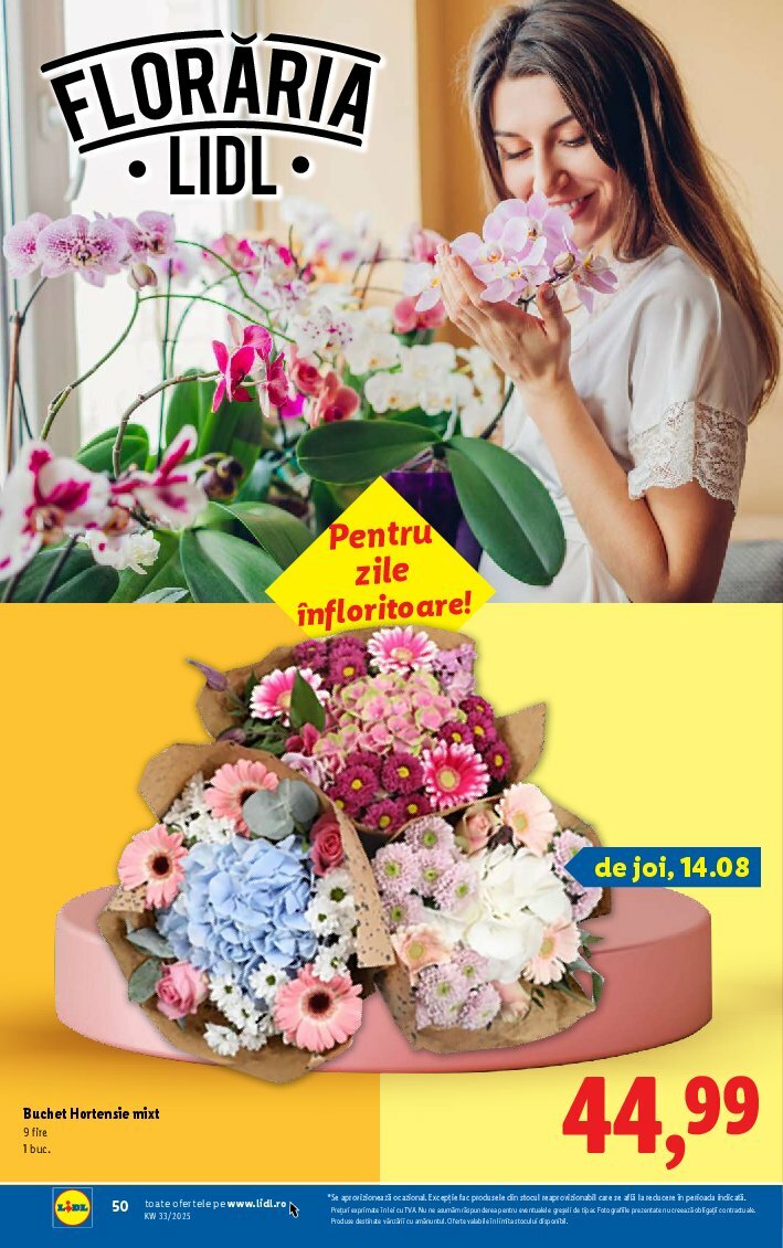 lidl - Catalog Lidl valabil din 11.08. până pe 17.08. - page: 50
