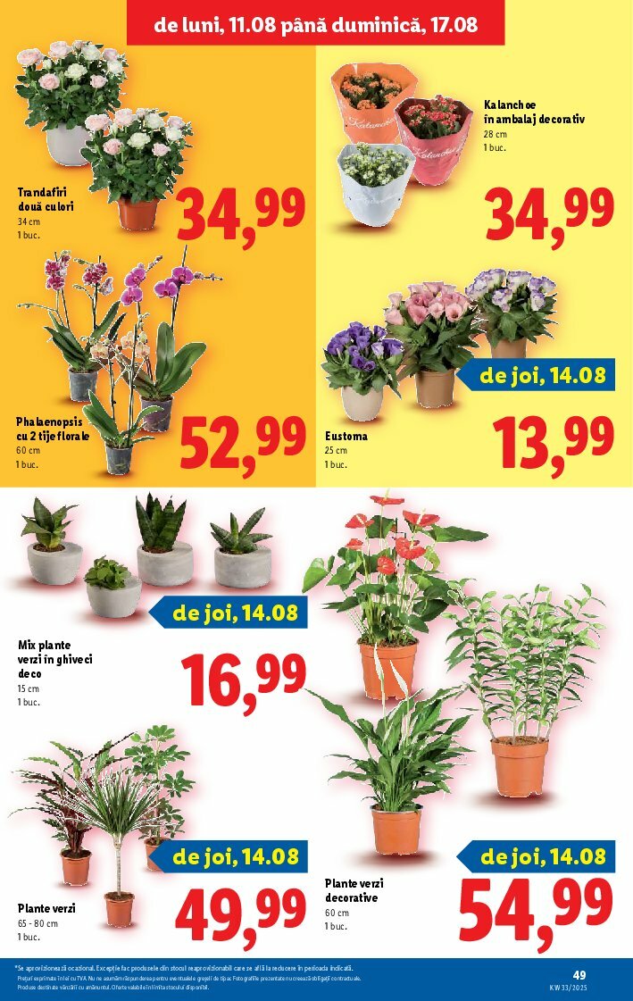 lidl - Catalog Lidl valabil din 11.08. până pe 17.08. - page: 49