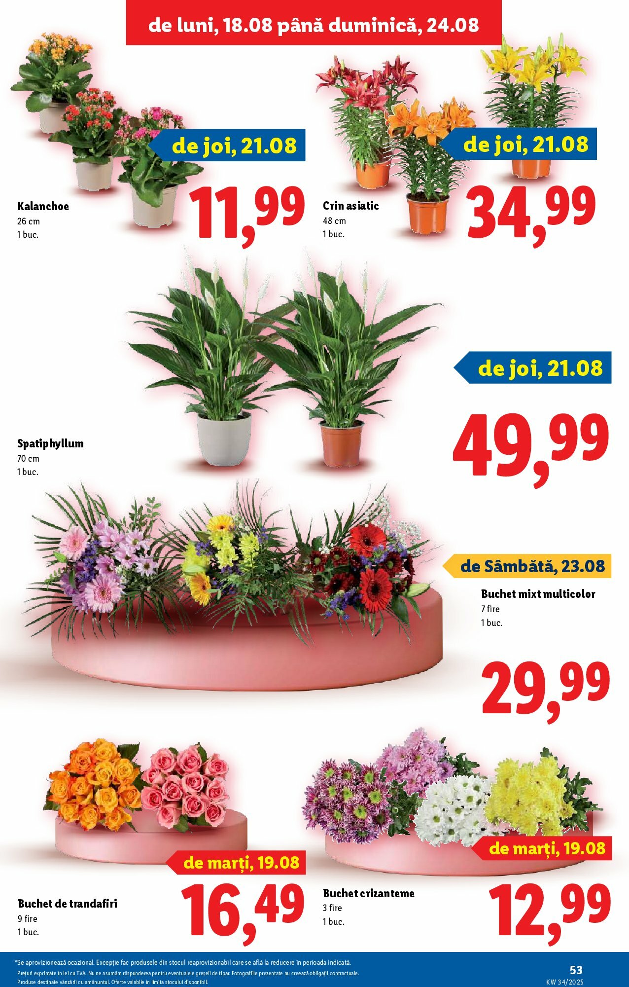 lidl - Catalog Lidl online – oferte valabile din 18.08. - page: 51