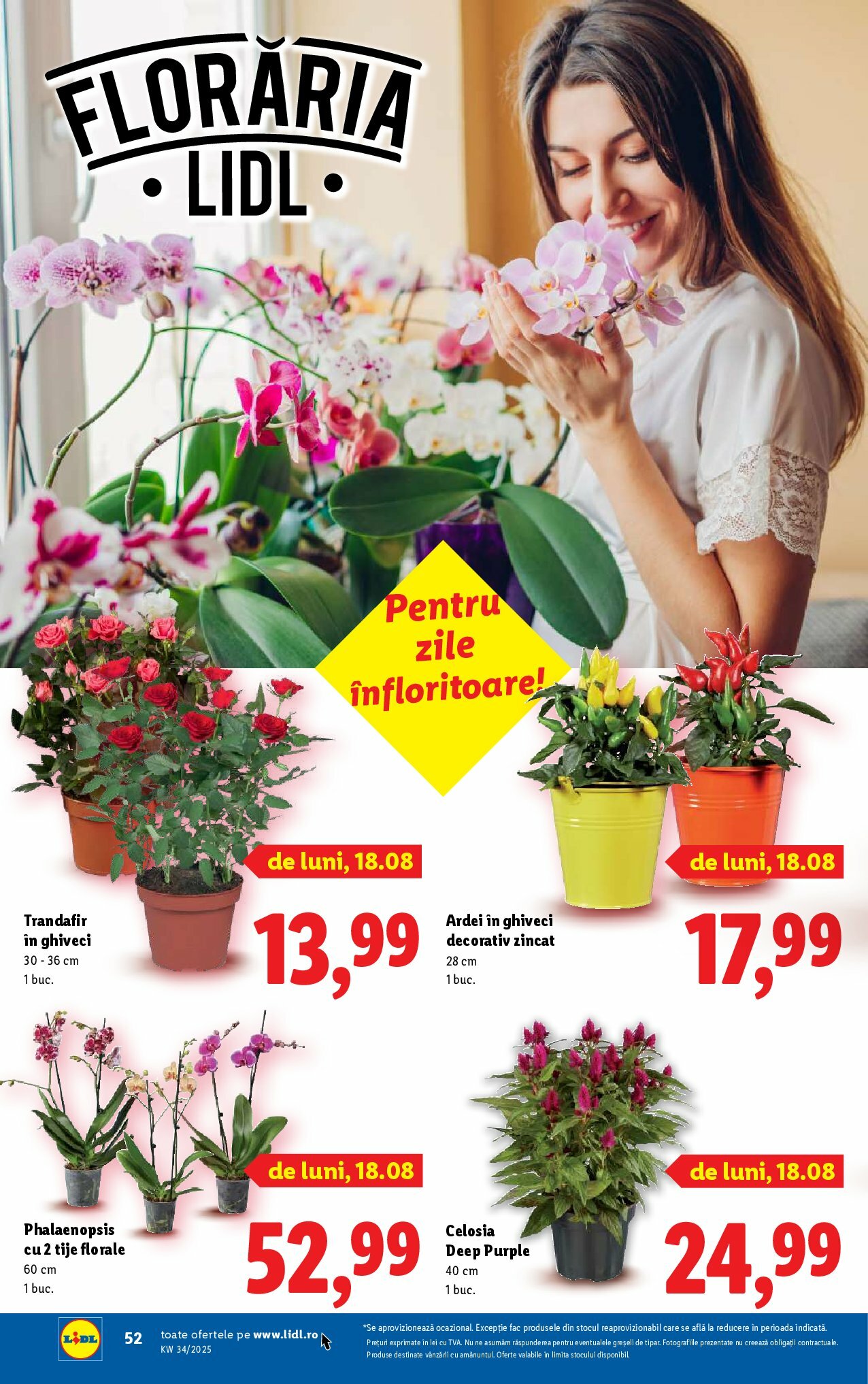 lidl - Catalog Lidl online – oferte valabile din 18.08. - page: 50