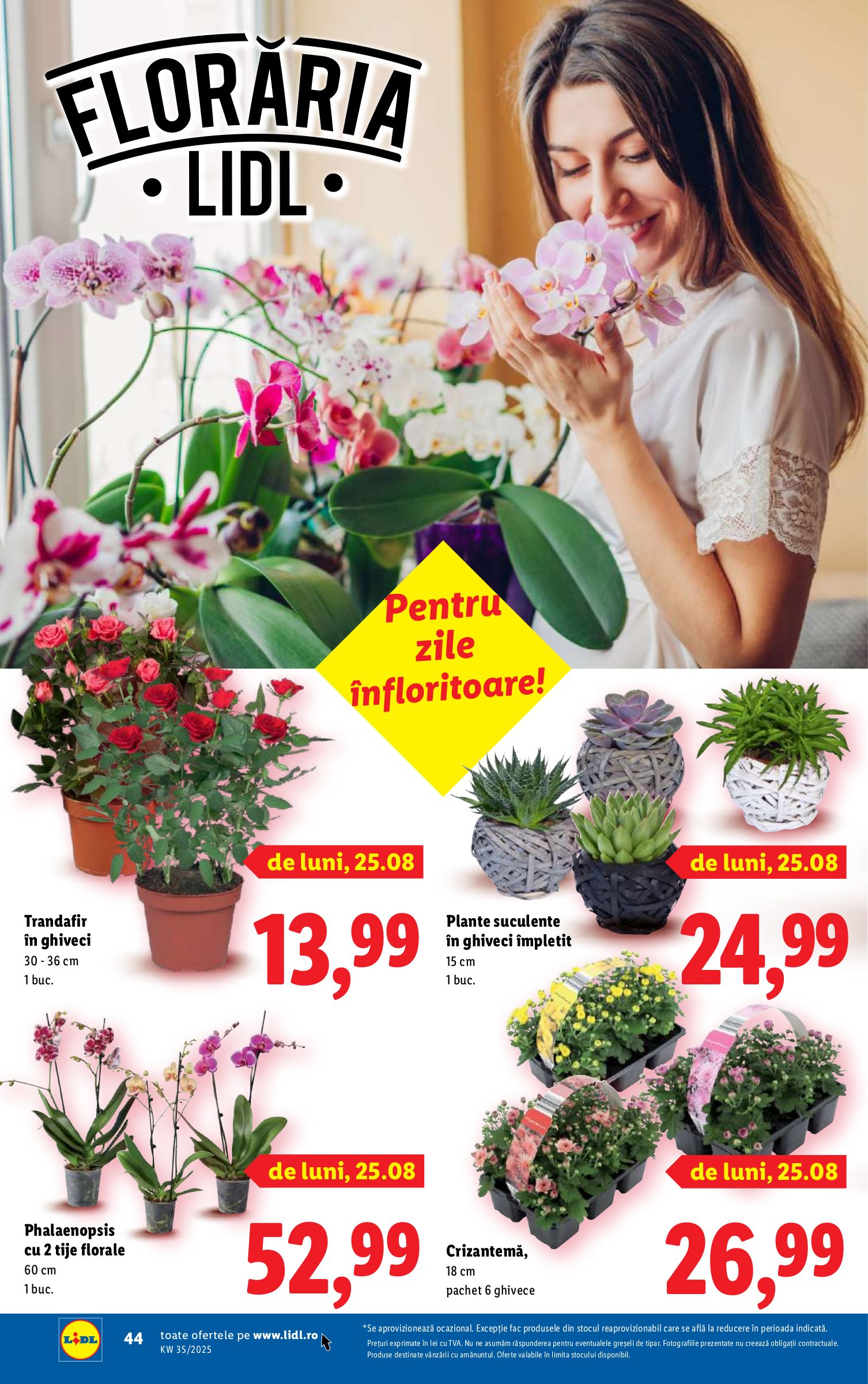 lidl - Catalog Lidl online – oferte valabile din 25.08. - page: 42 lidl - Catalog Lidl online – oferte valabile din 25.08. - page: 42