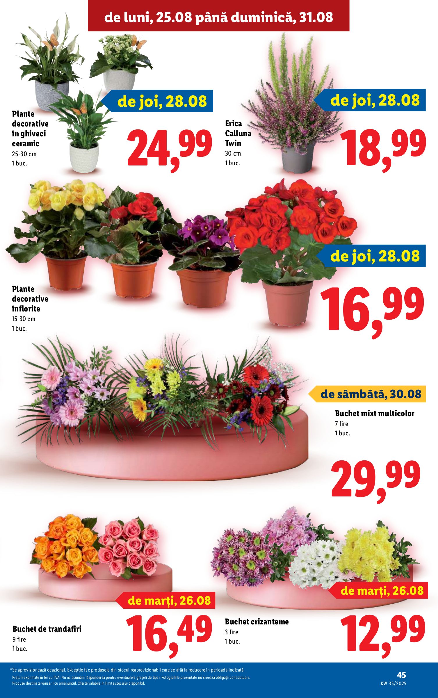 lidl - Catalog Lidl online – oferte valabile din 25.08. - page: 43 lidl - Catalog Lidl online – oferte valabile din 25.08. - page: 43