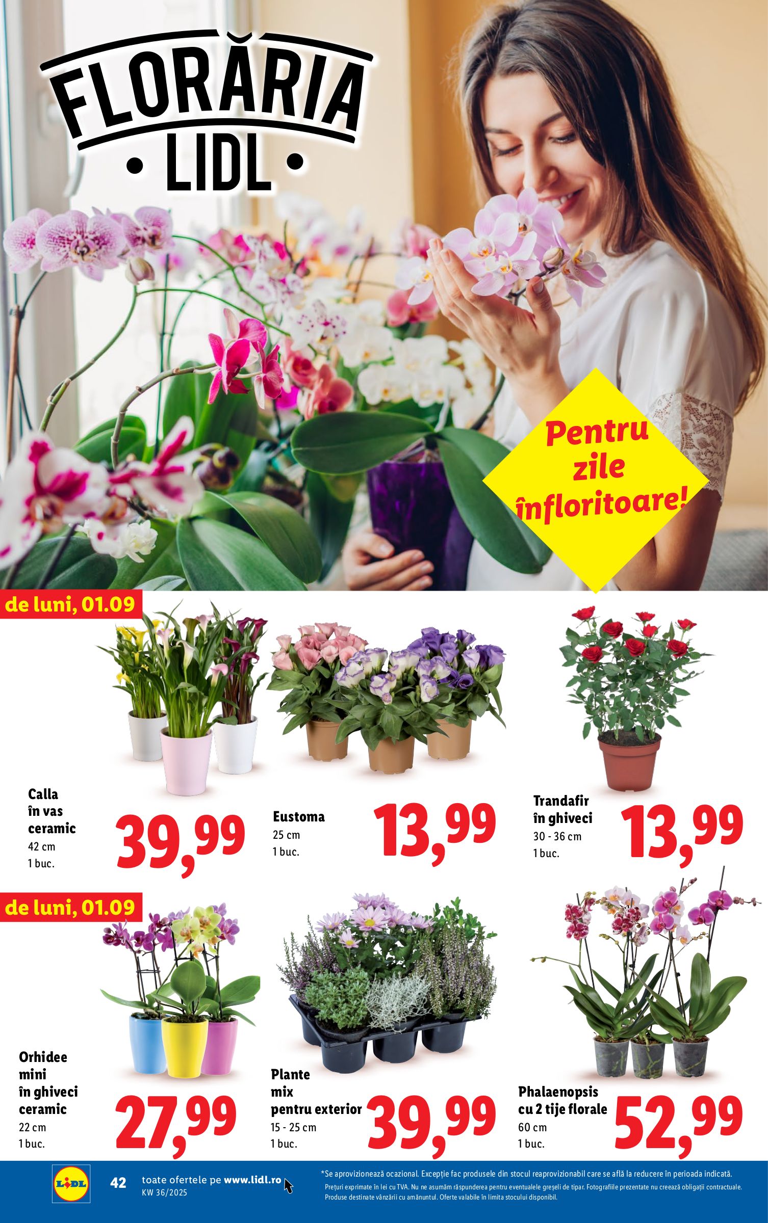 lidl - Catalog Lidl online – oferte valabile din 01.09. - page: 42