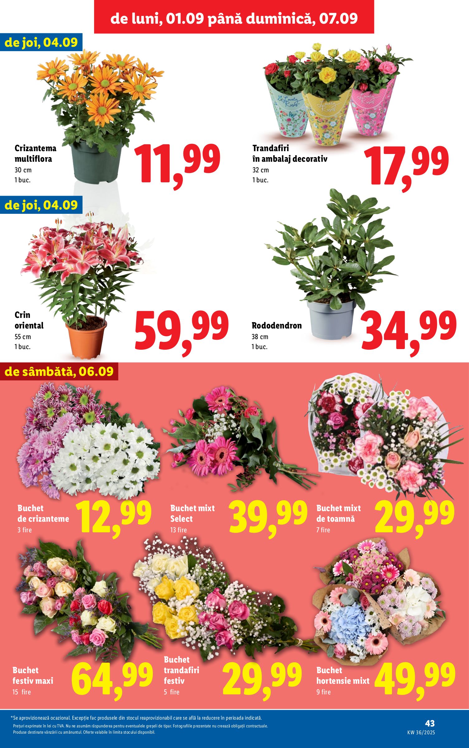 lidl - Catalog Lidl online – oferte valabile din 01.09. - page: 43